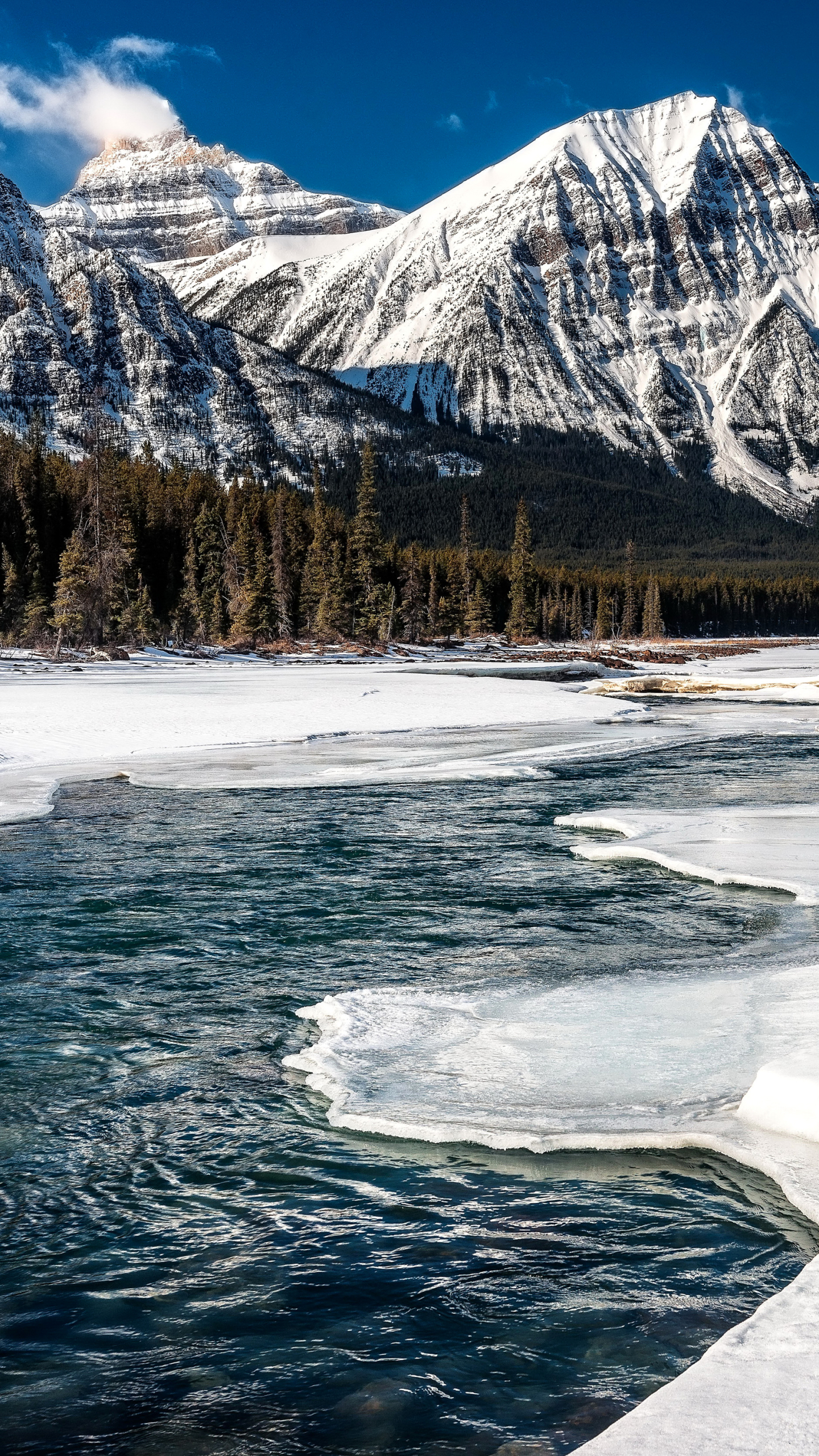 Laden Sie das Landschaft, Winter, Natur, Eis, Schnee, Kanada, Wald, Fluss, Gebirge, Alberta, Berge, Erde/natur-Bild kostenlos auf Ihren PC-Desktop herunter