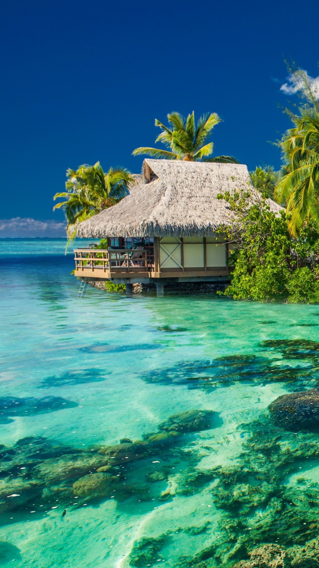 Téléchargez des papiers peints mobile Tropiques, Lagune, Tropical, Photographie gratuitement.