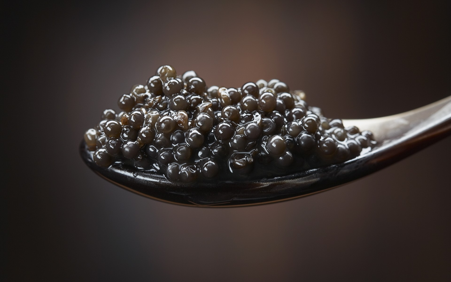 food, caviar