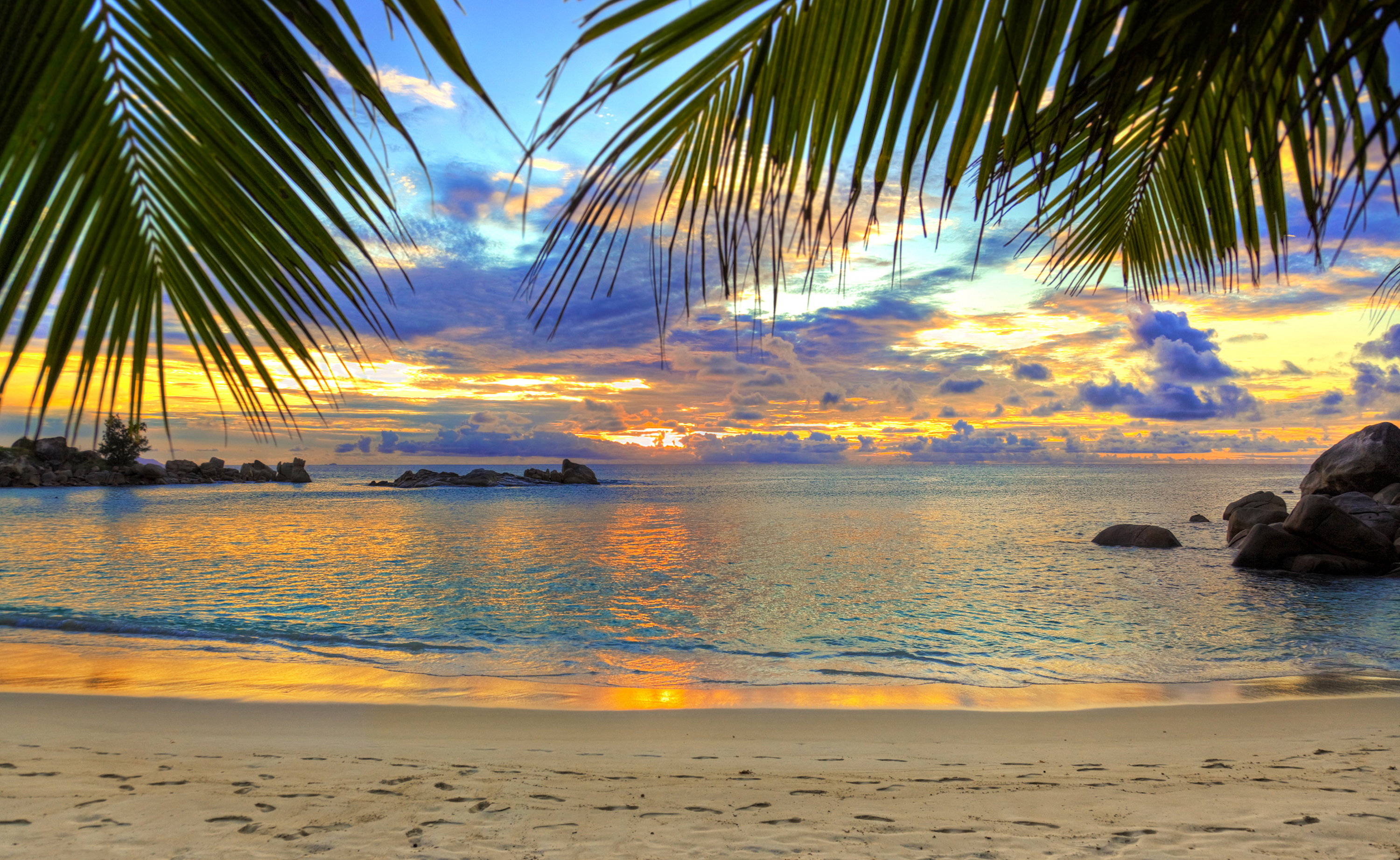 595148 télécharger le fond d'écran plage, palmier, le sable, mer, ciel, coucher de soleil, la nature, océan, terre/nature, horizon, tropical - économiseurs d'écran et images gratuitement