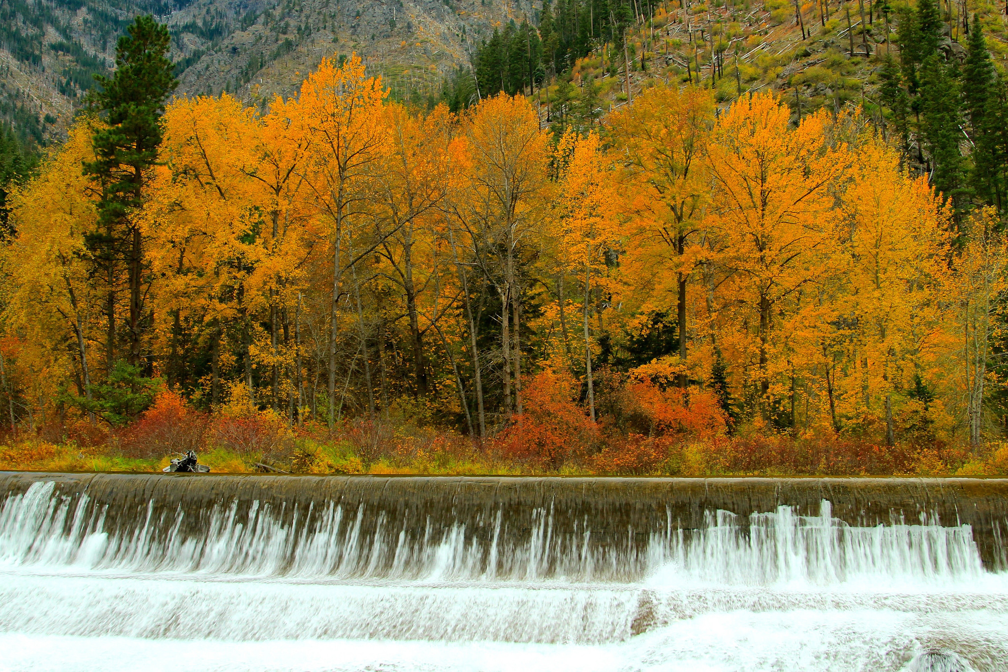 PCデスクトップに自然, 川, 秋, 滝, 森, 地球画像を無料でダウンロード