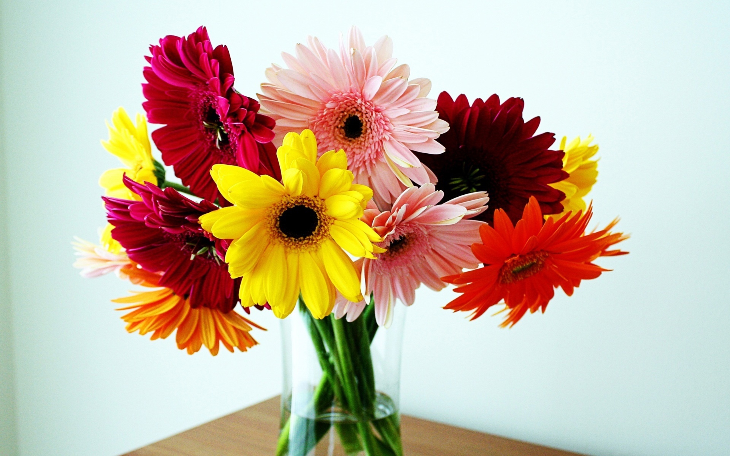 Free download wallpaper Flower, Earth, Colors, Vase, Colorful, Gerbera, Yellow Flower, Red Flower, Man Made, Pink Flower, Orange Flower on your PC desktop