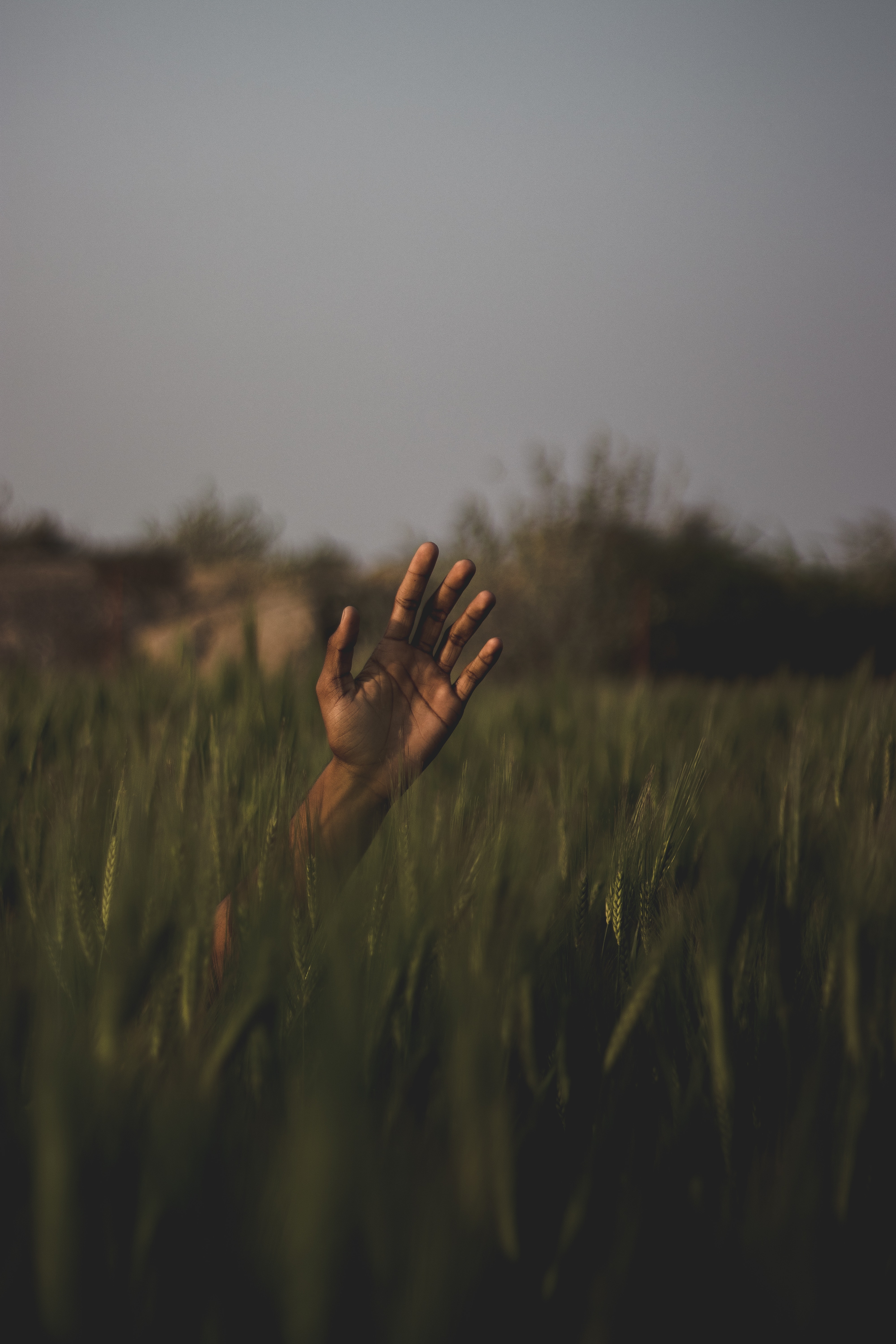 Download mobile wallpaper Field, Smooth, Grass, Hand, Nature, Blur for free.