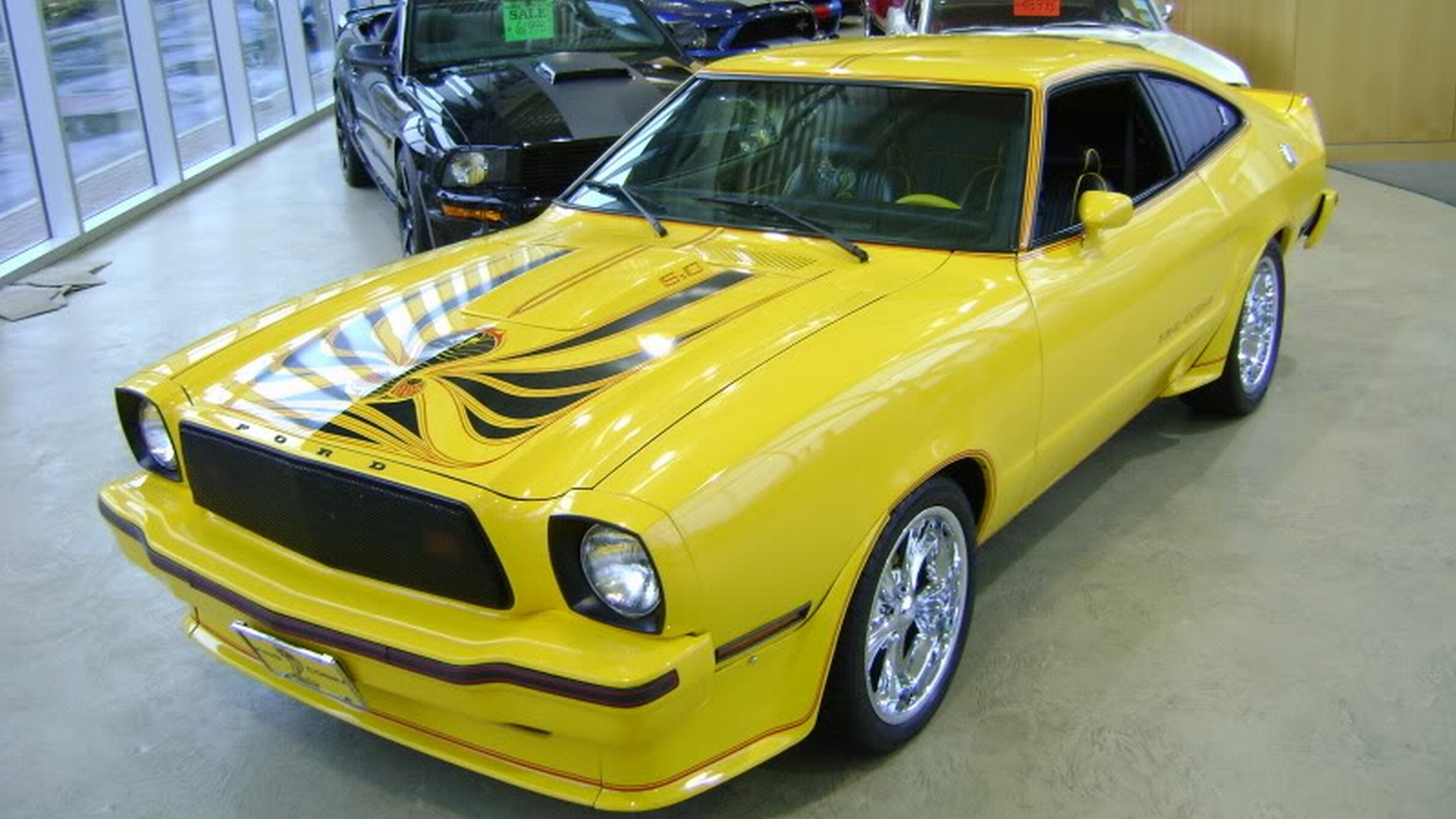 vehicles, ford mustang king cobra