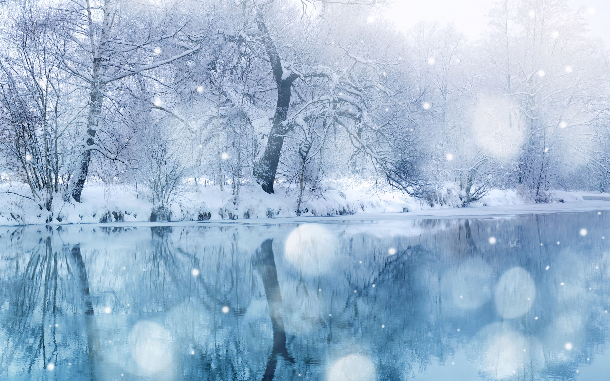 PCデスクトップに冬, 川, 木, 風景画像を無料でダウンロード