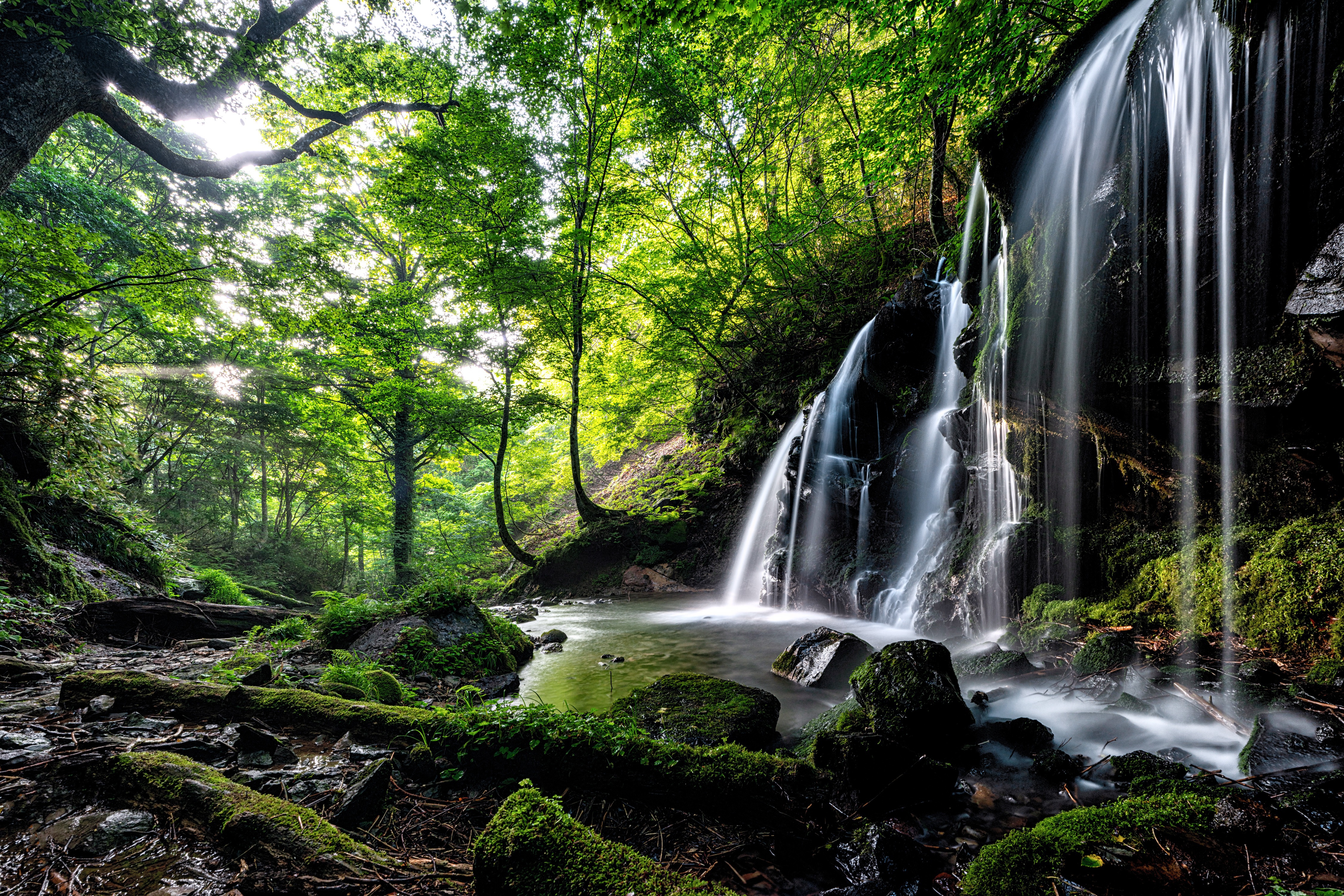 Download mobile wallpaper Nature, Waterfalls, Waterfall, Forest, Earth, Greenery for free.