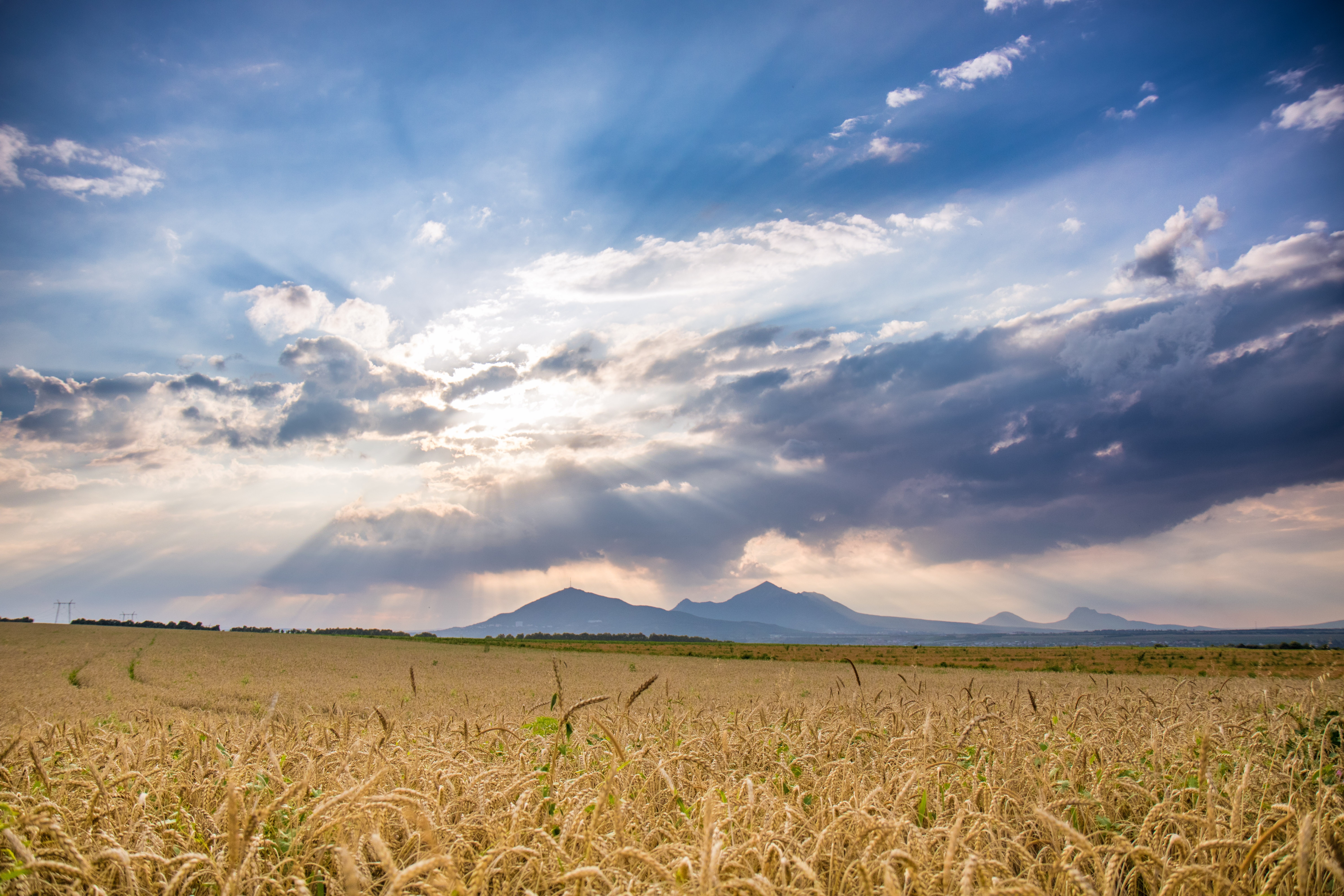 Download mobile wallpaper Landscape, Nature, Sky, Summer, Wheat, Earth, Field, Cloud, Sunbeam for free.