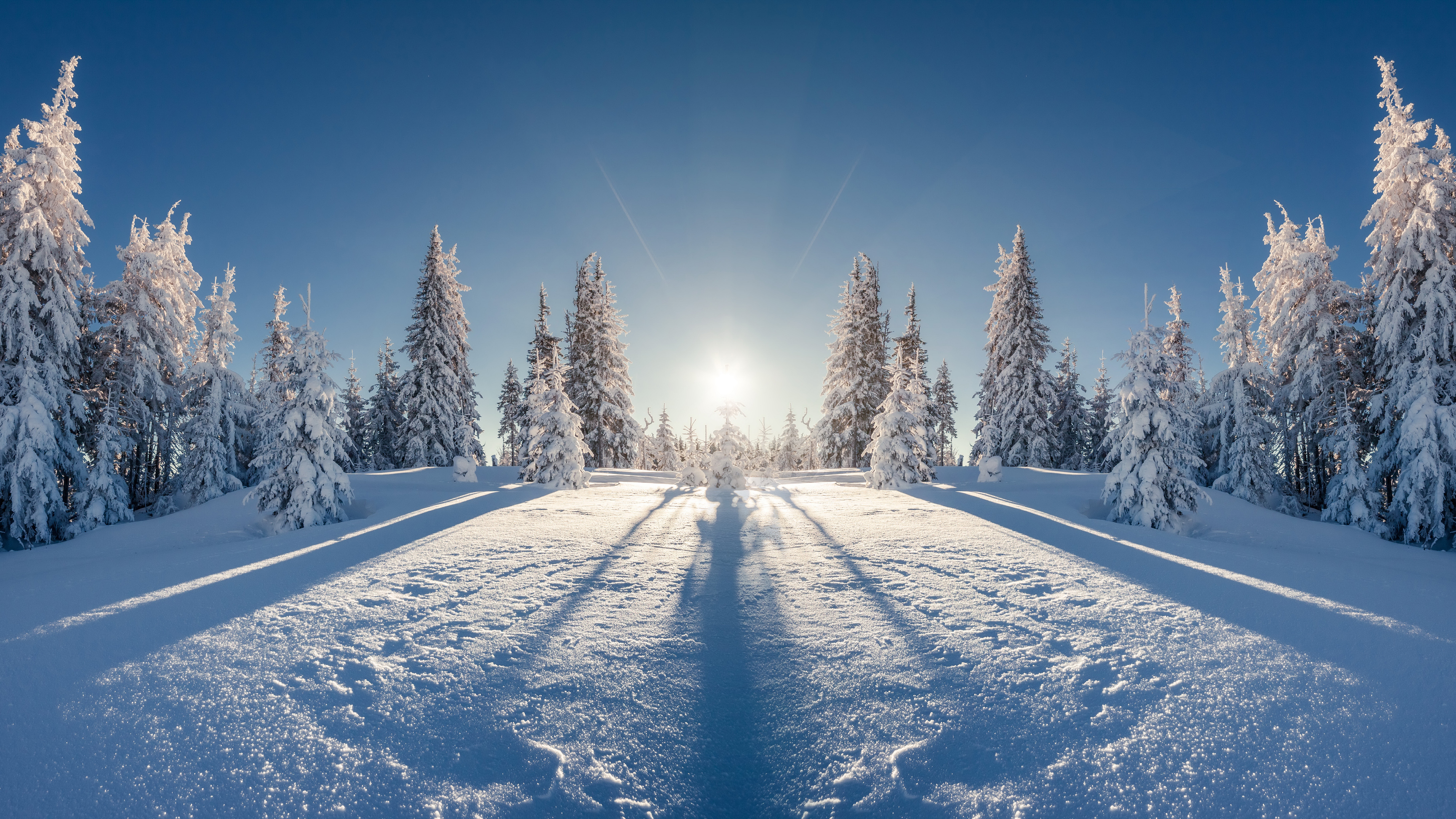 Free download wallpaper Winter, Nature, Sun, Snow, Tree, Earth on your PC desktop
