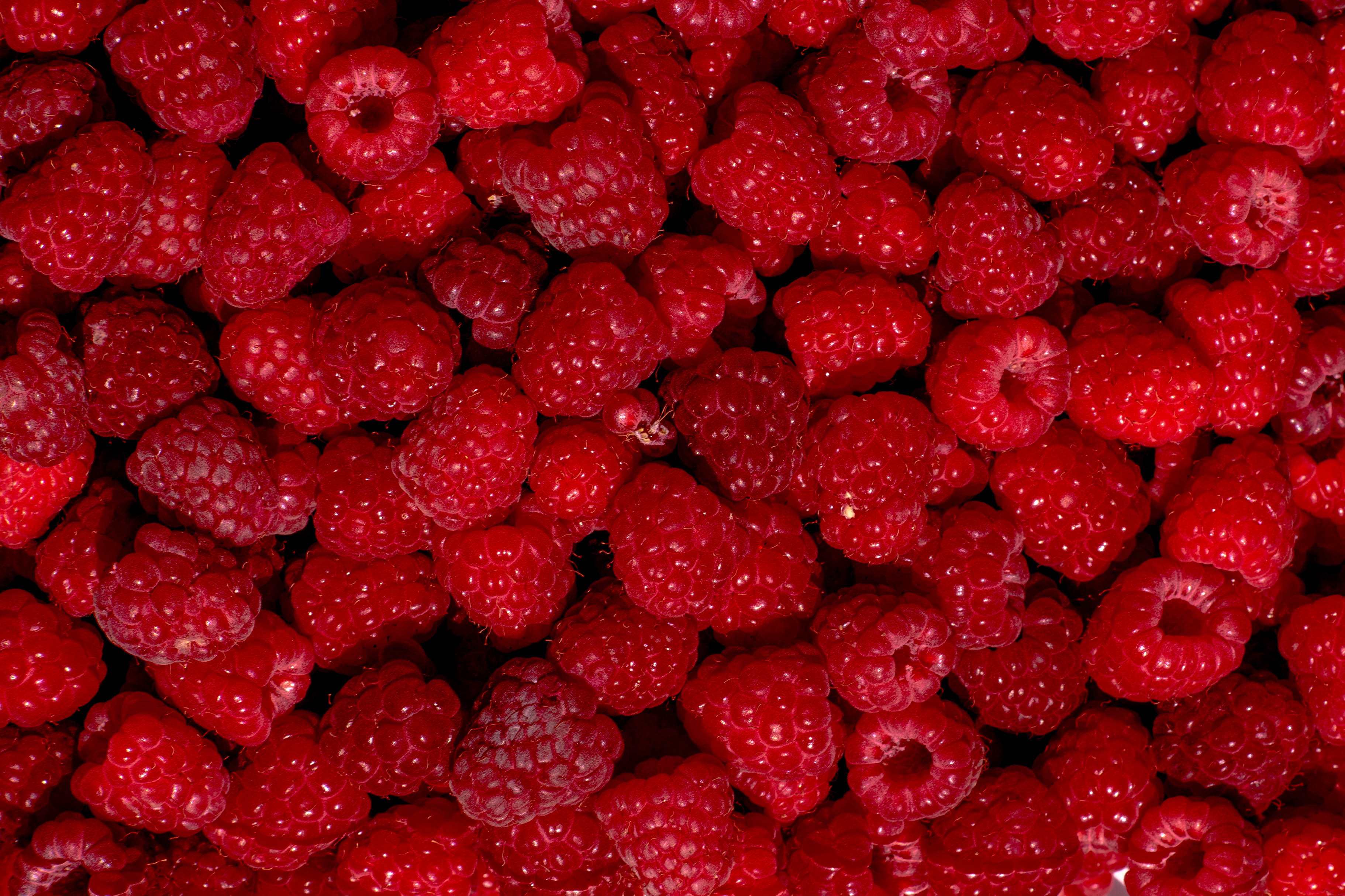 Free download wallpaper Food, Raspberry, Desert, Berry, Fruit on your PC desktop