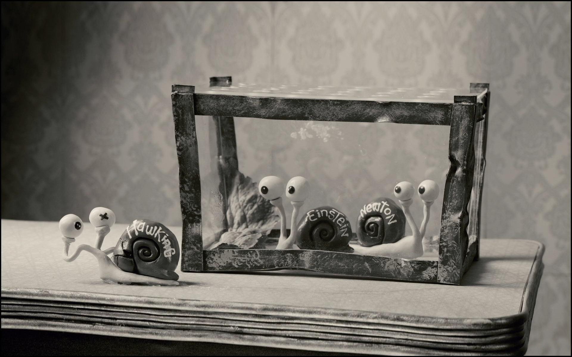 Descargar fondos de escritorio de Mary And Max HD