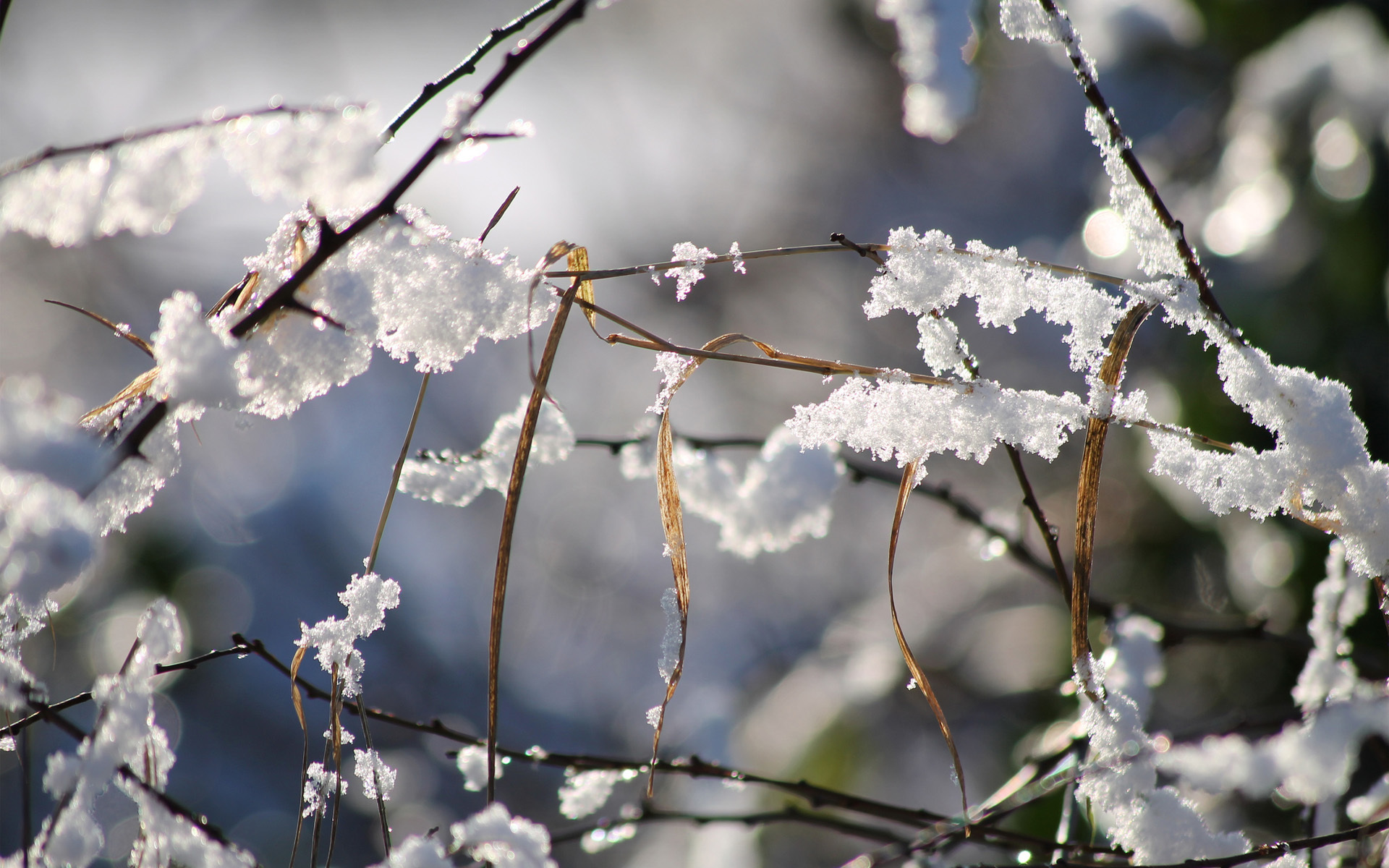 Free download wallpaper Winter, Earth on your PC desktop