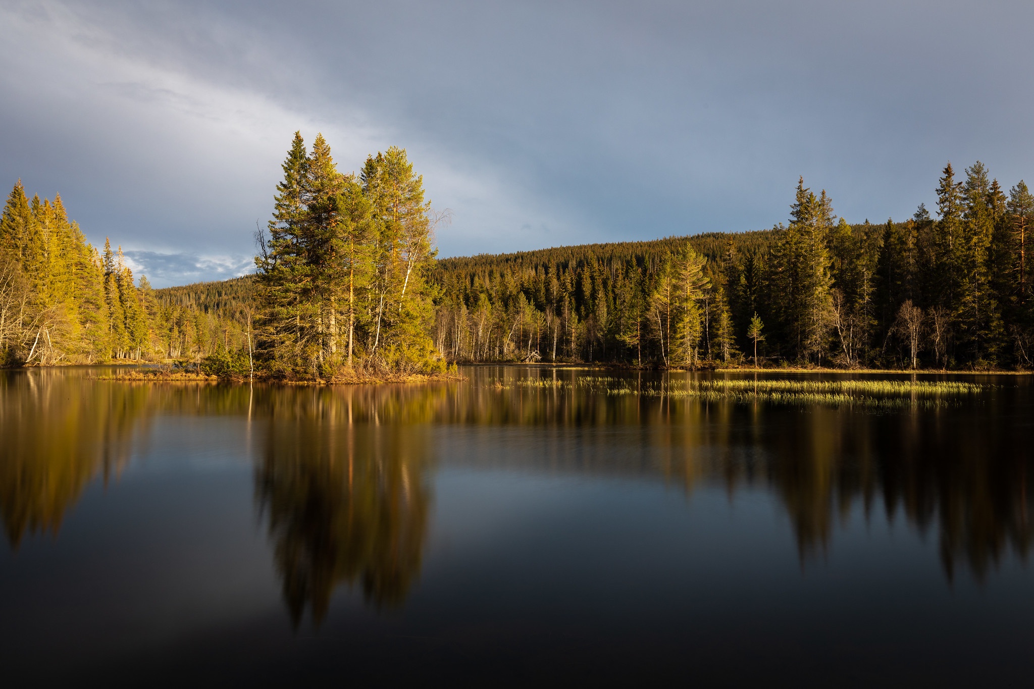 Téléchargez gratuitement l'image Lac, Forêt, Des Lacs, Ciel, Terre/nature, Réflection sur le bureau de votre PC