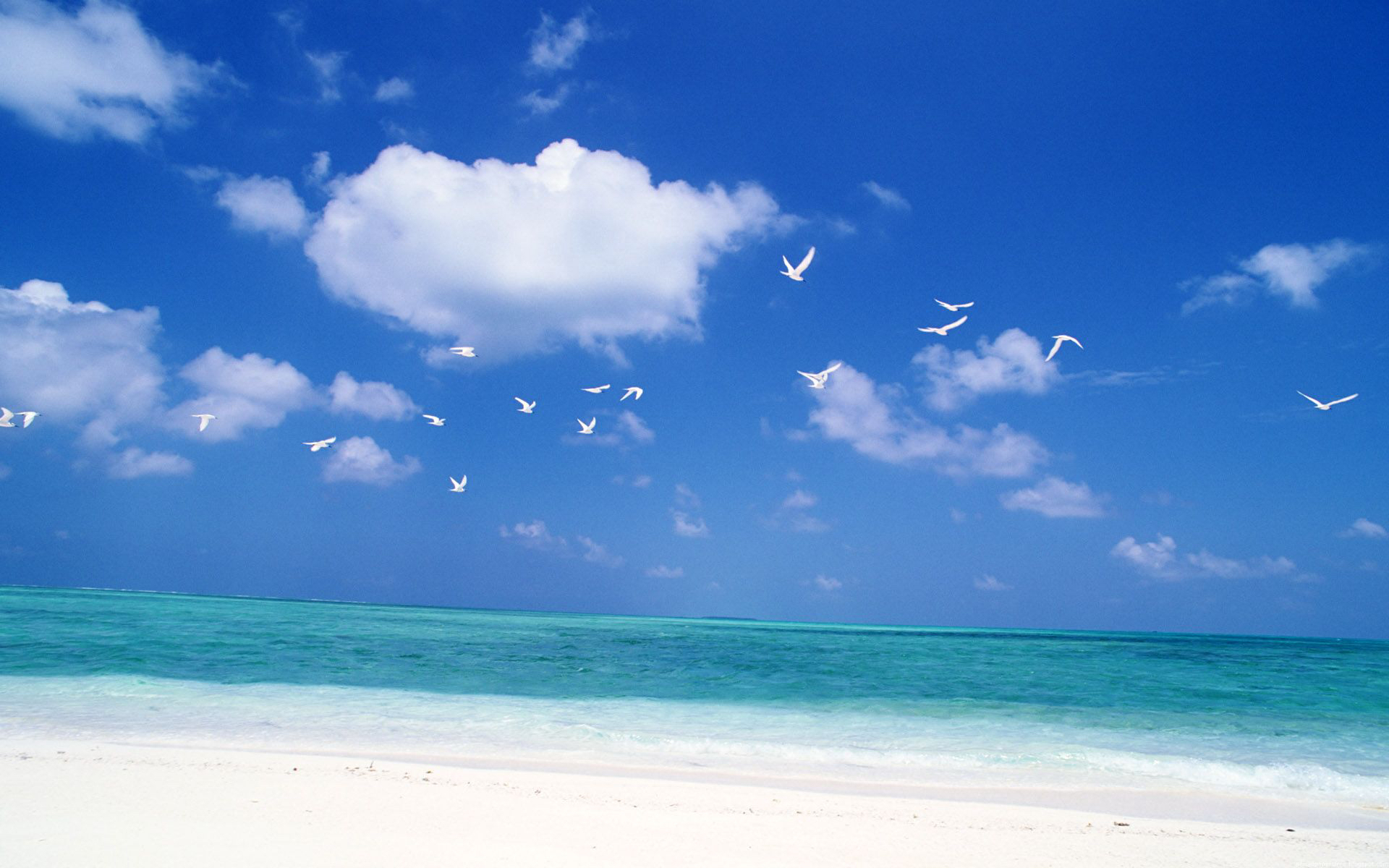 Descarga gratis la imagen Playa, Tierra/naturaleza en el escritorio de tu PC