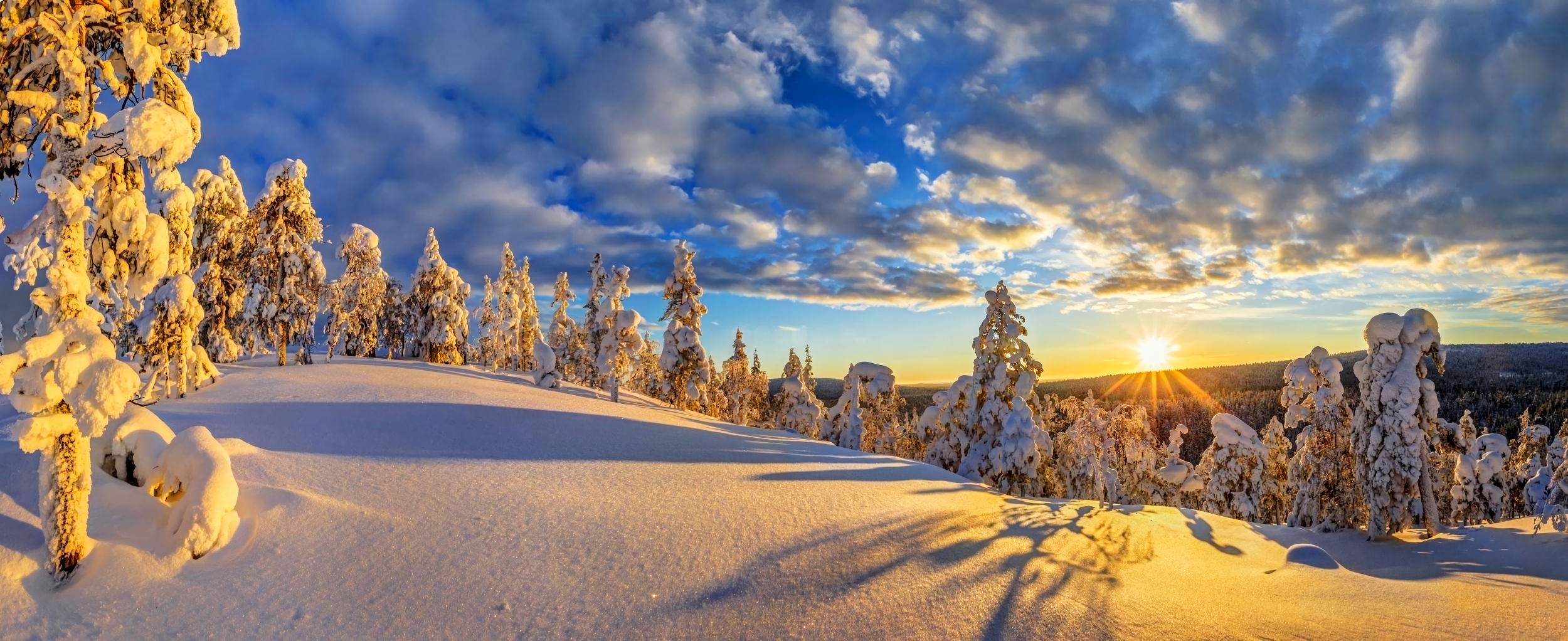 Free download wallpaper Winter, Sunset, Snow, Forest, Tree, Earth on your PC desktop