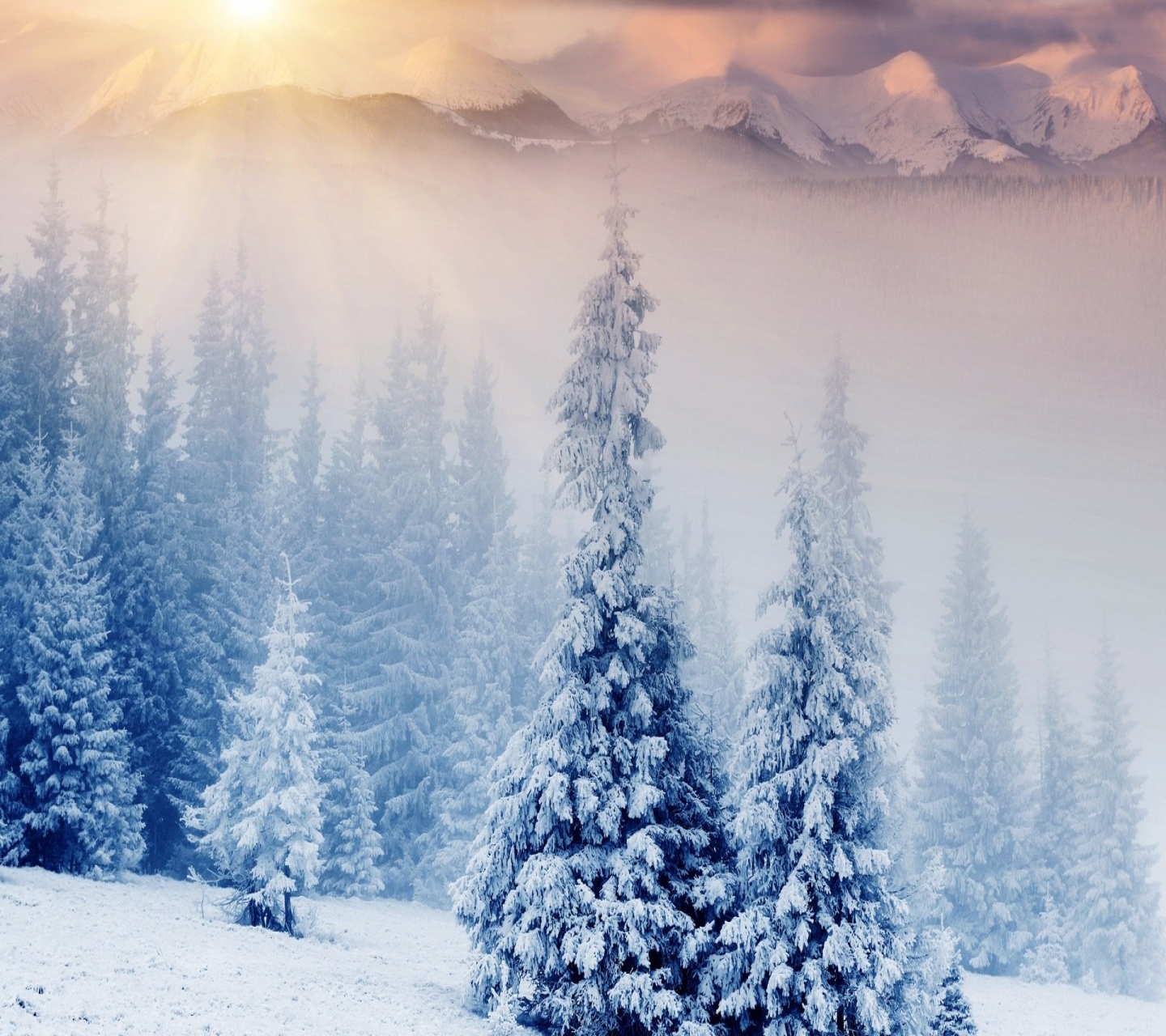 Free download wallpaper Winter, Earth on your PC desktop