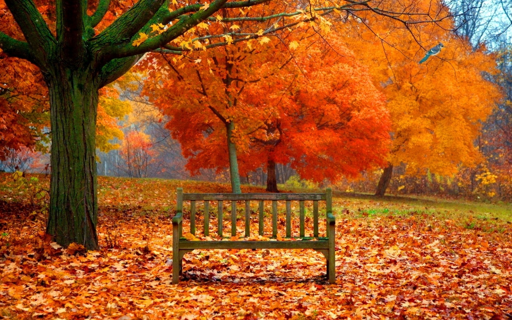 Download mobile wallpaper Park, Tree, Fall, Bench, Man Made for free.