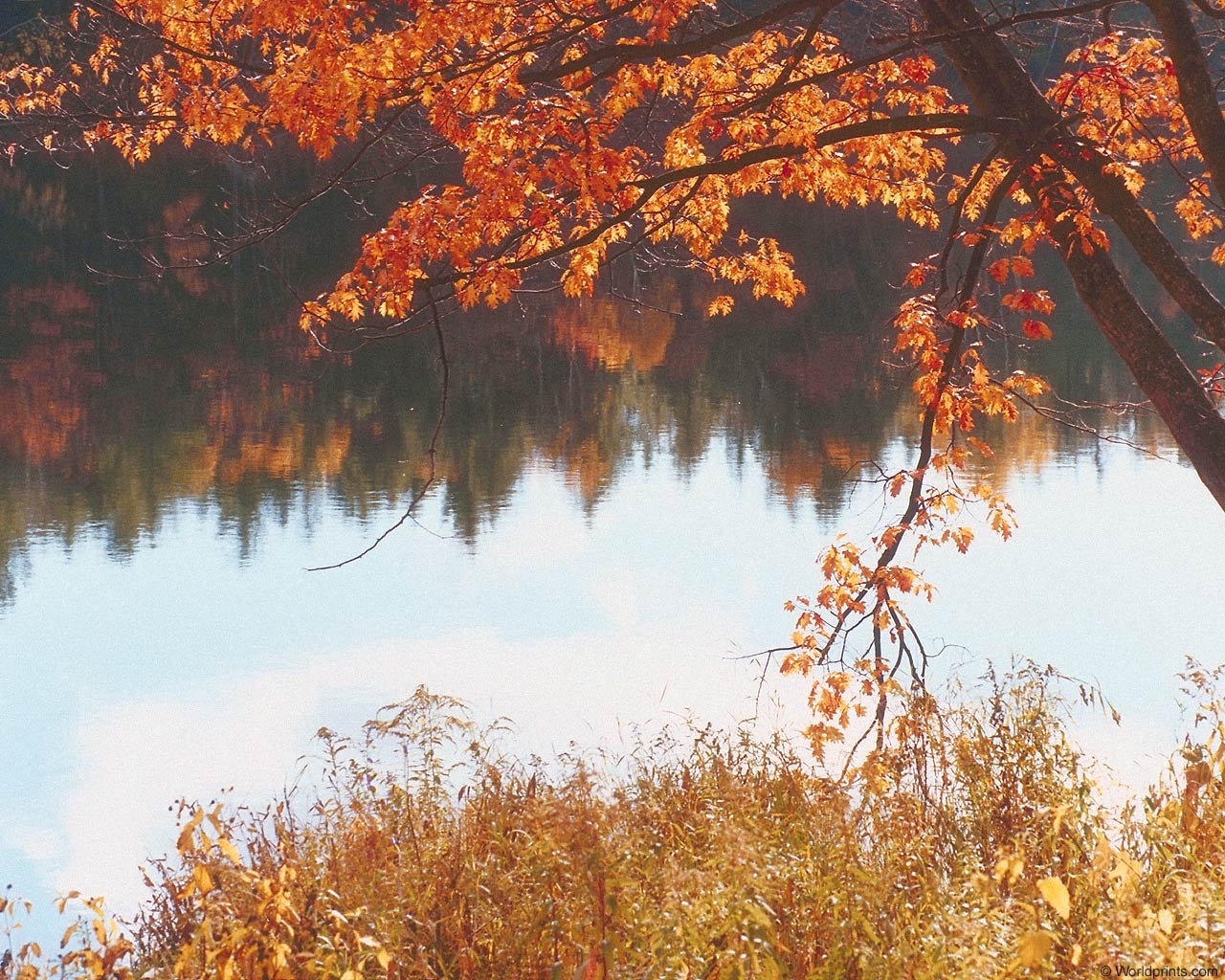 Скачать картинку Пейзаж, Река, Осень в телефон бесплатно.