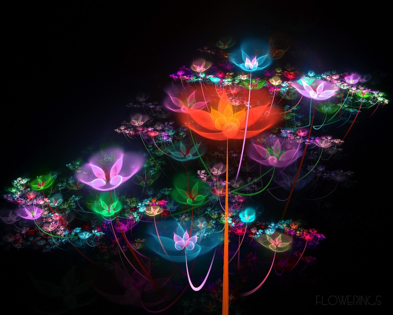 Free download wallpaper Flower, Artistic on your PC desktop