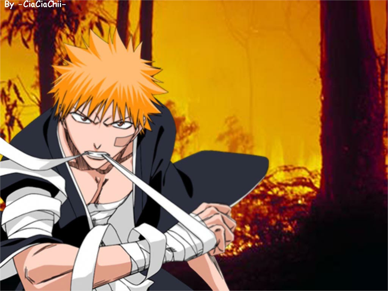 Téléchargez des papiers peints mobile Bleach, Animé, Ichigo Kurosaki gratuitement.