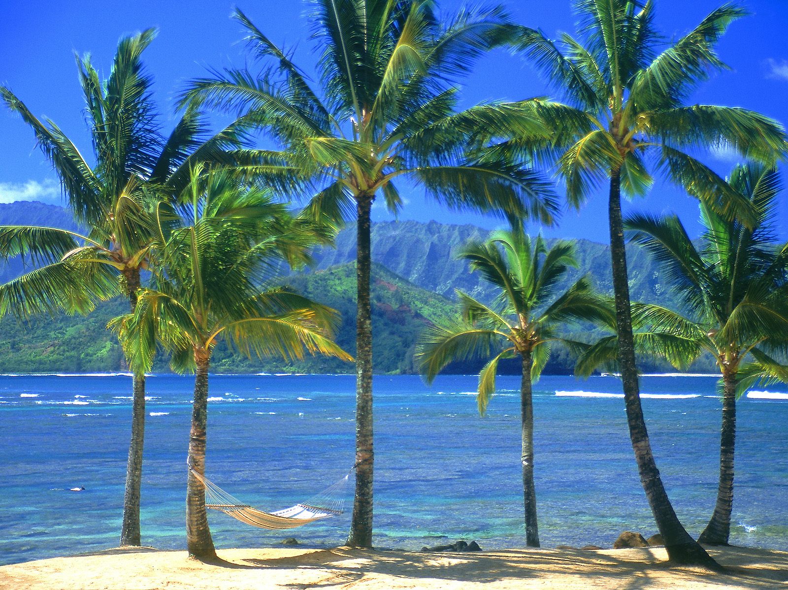 Laden Sie das Natur, Strand, See, Palme, Gebirge, Tropisch, Fotografie, Meer-Bild kostenlos auf Ihren PC-Desktop herunter