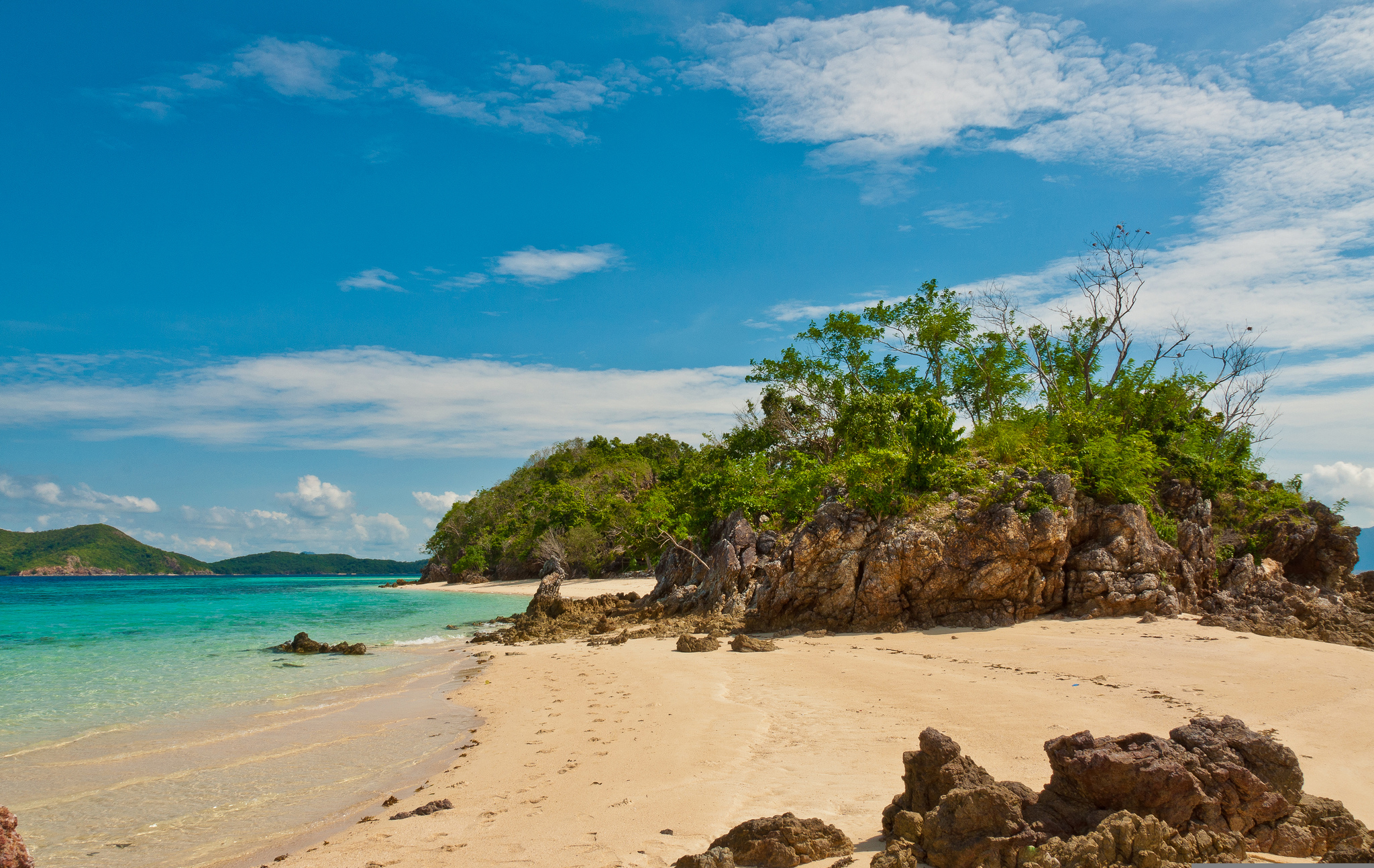 Laden Sie das Strand, Baum, Ozean, Tropisch, Meer, Erde/natur-Bild kostenlos auf Ihren PC-Desktop herunter