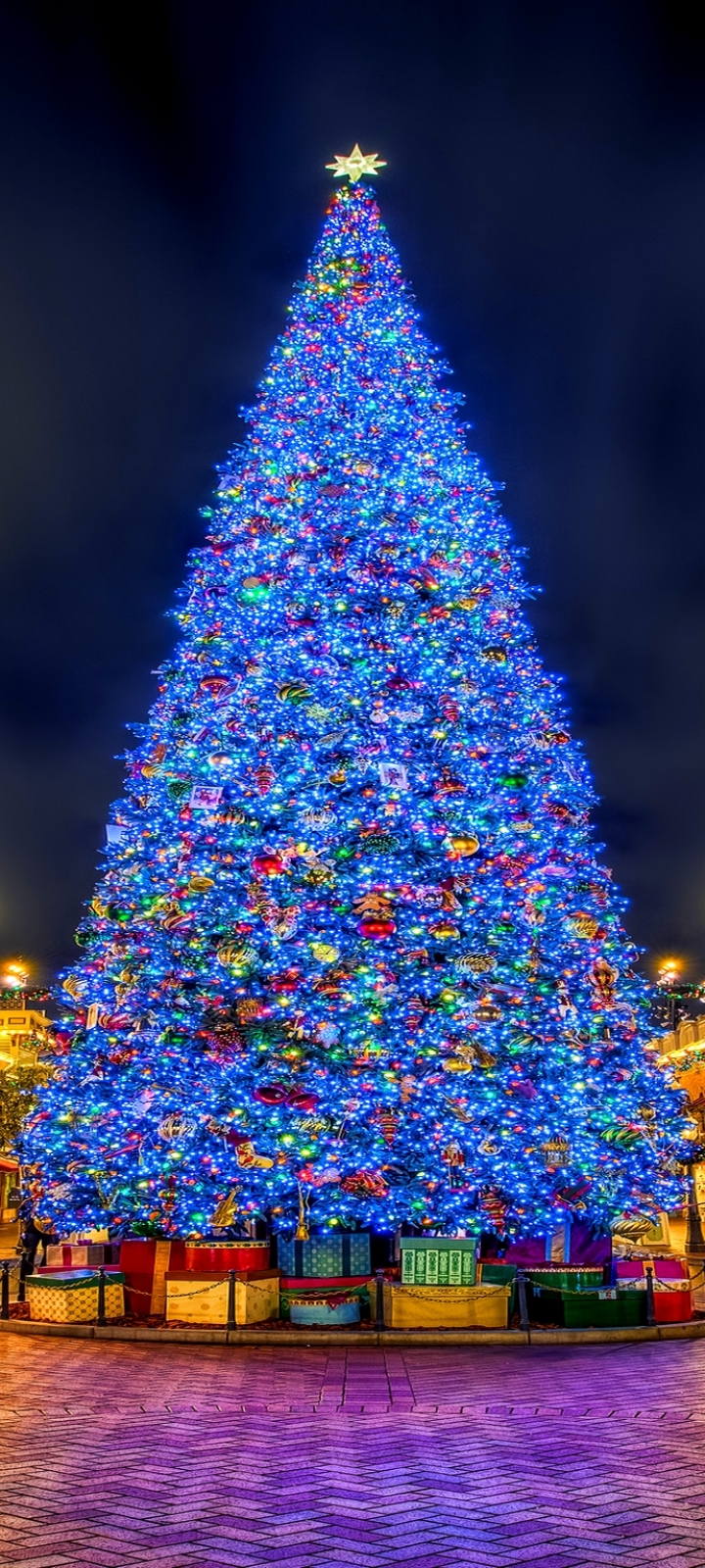 Download mobile wallpaper Christmas, Holiday, Christmas Tree for free.