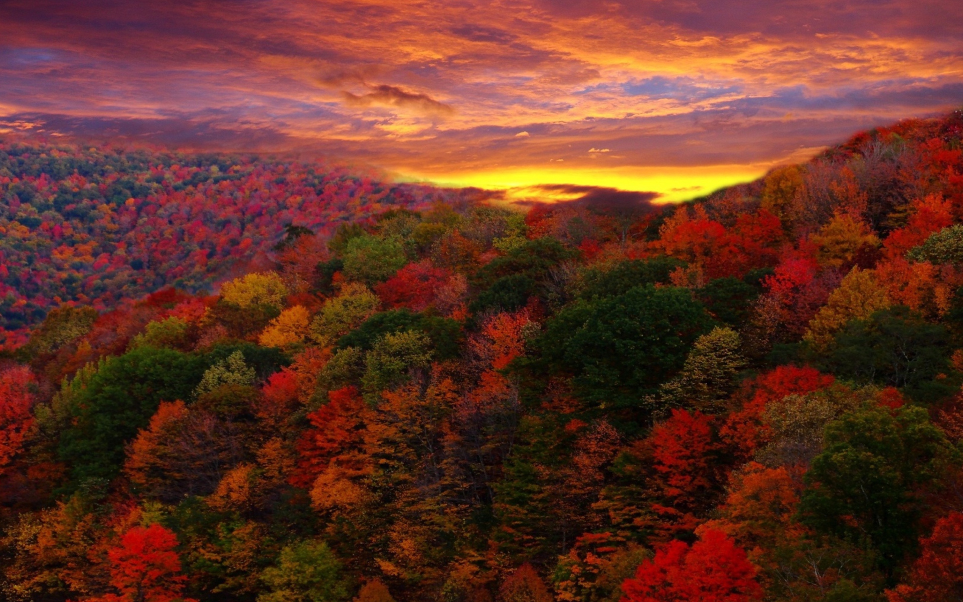 Handy-Wallpaper Landschaft, Herbst, Wald, Baum, Himmel, Sonnenuntergang, Erde/natur kostenlos herunterladen.