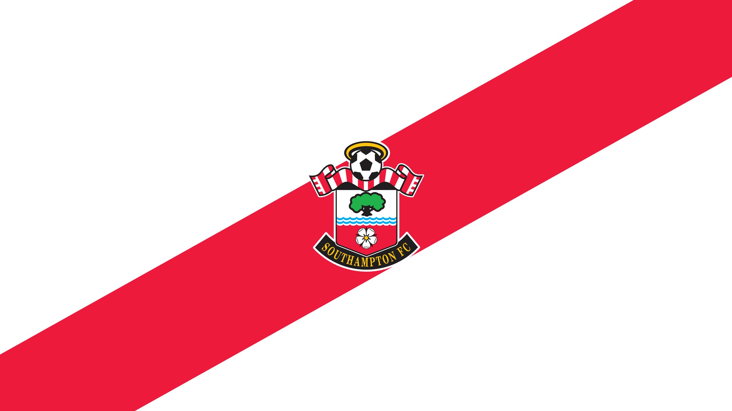 Téléchargez des papiers peints mobile Logo, Des Sports, Emblème, Football, Fc Southampton gratuitement.