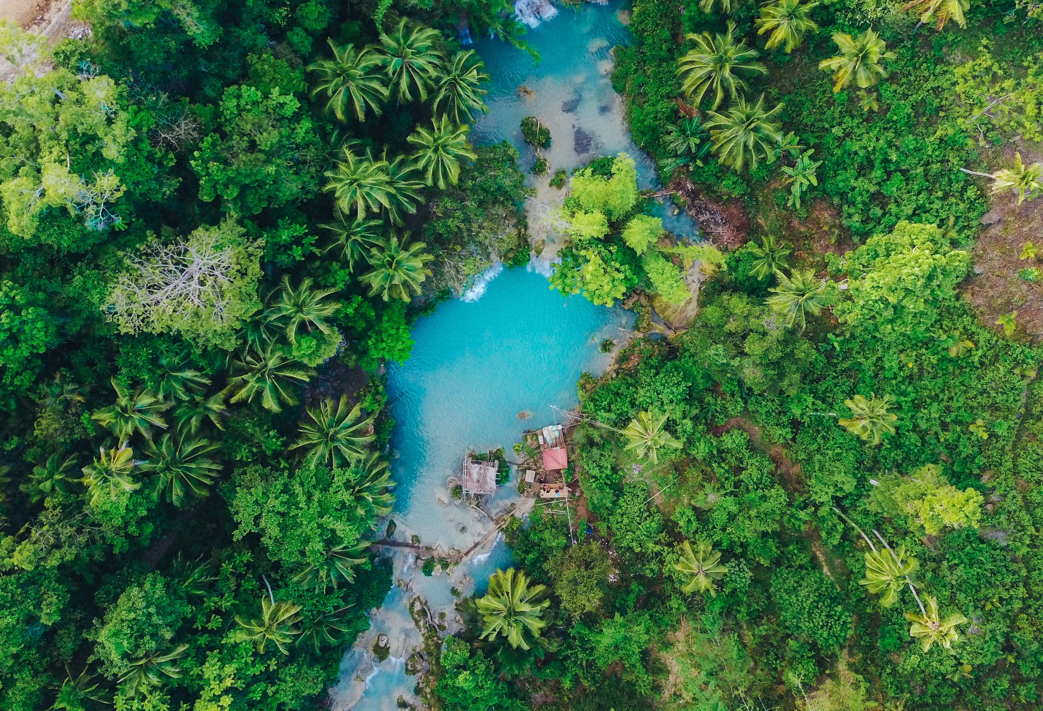 island, philippines, view from above, nature, palms, tropics, siquihor, sikihor