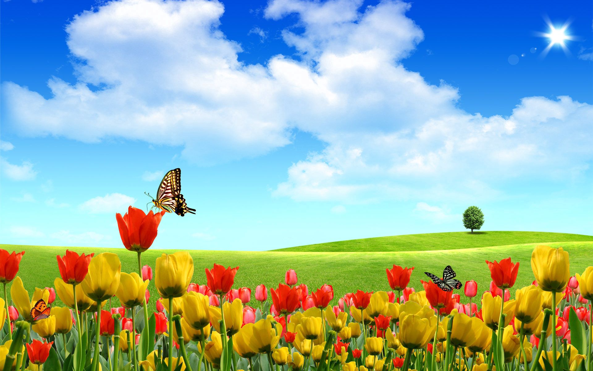 tulips, vector, clouds, wood, tree, serenity