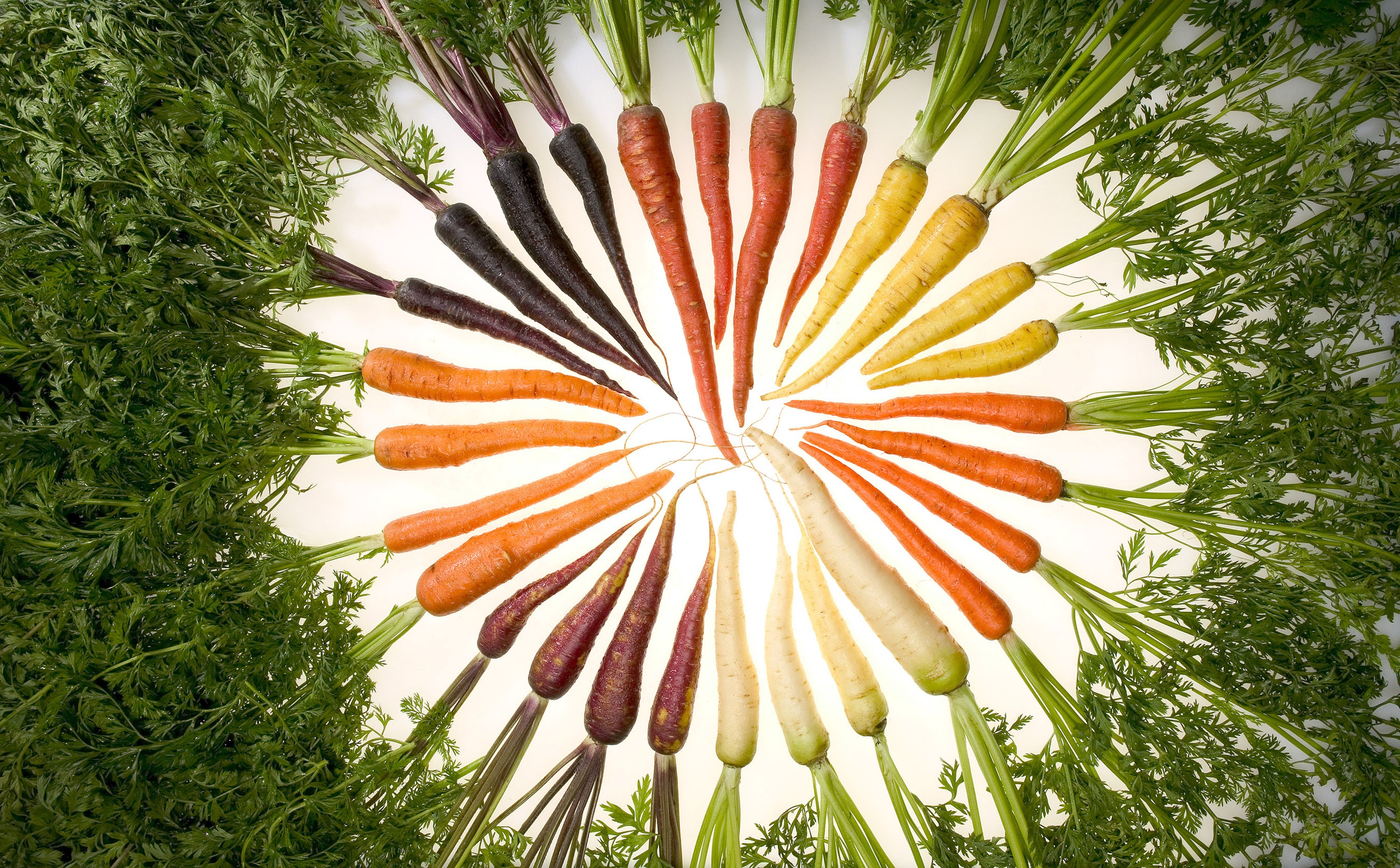 745119 завантажити картинку харчування, морква, овочевий - шпалери і заставки безкоштовно