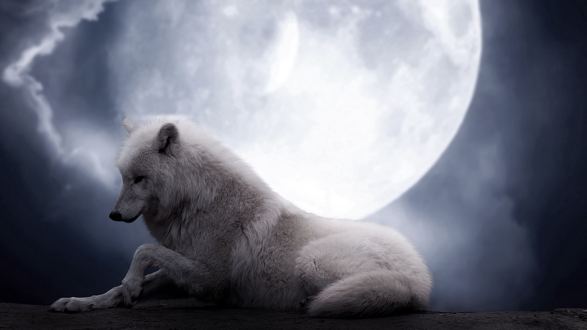 Download mobile wallpaper Lie, To Lie Down, Predator, Animals, Wolf, Moon for free.