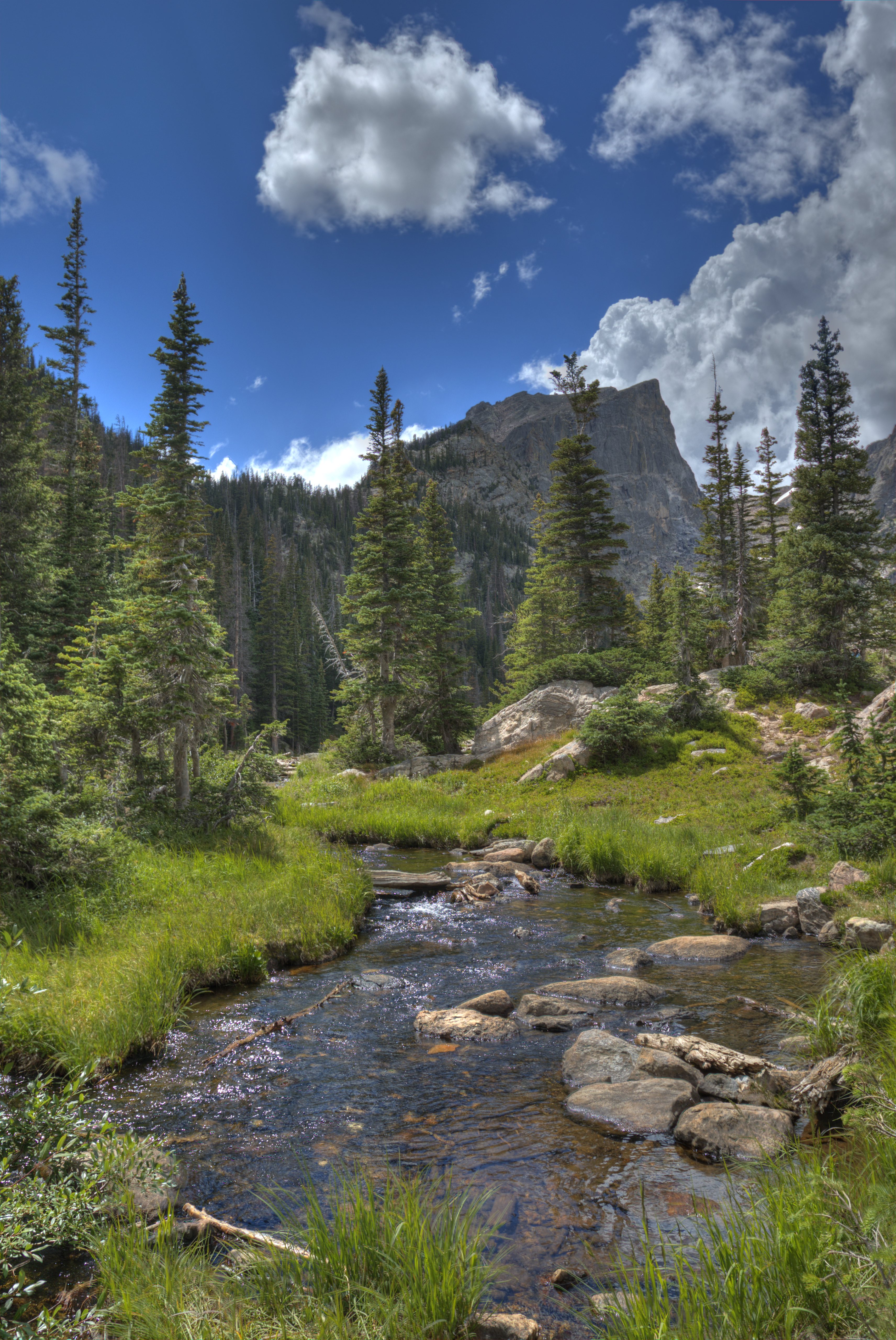 PCデスクトップに自然, 川, 木, 草, 岩, 山, スプルース, モミ画像を無料でダウンロード