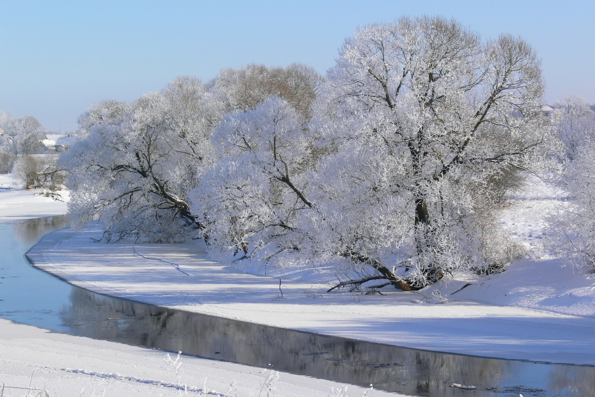 winter, nature, rivers, trees, sky, white, frost, hoarfrost, gray hair, shadows