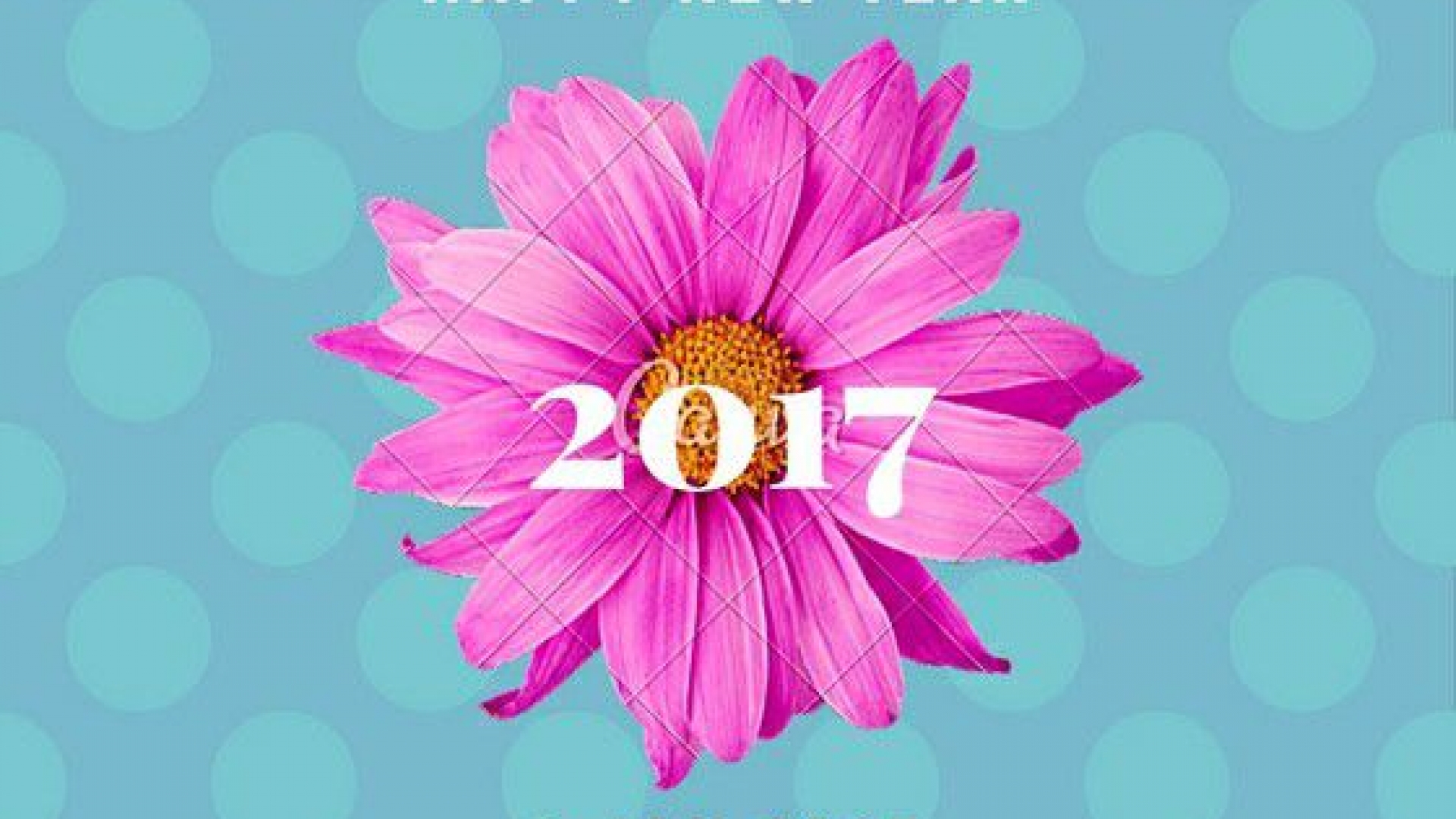 PCデスクトップにピンク, 新年, 花, ホリデー, 2017年新年画像を無料でダウンロード