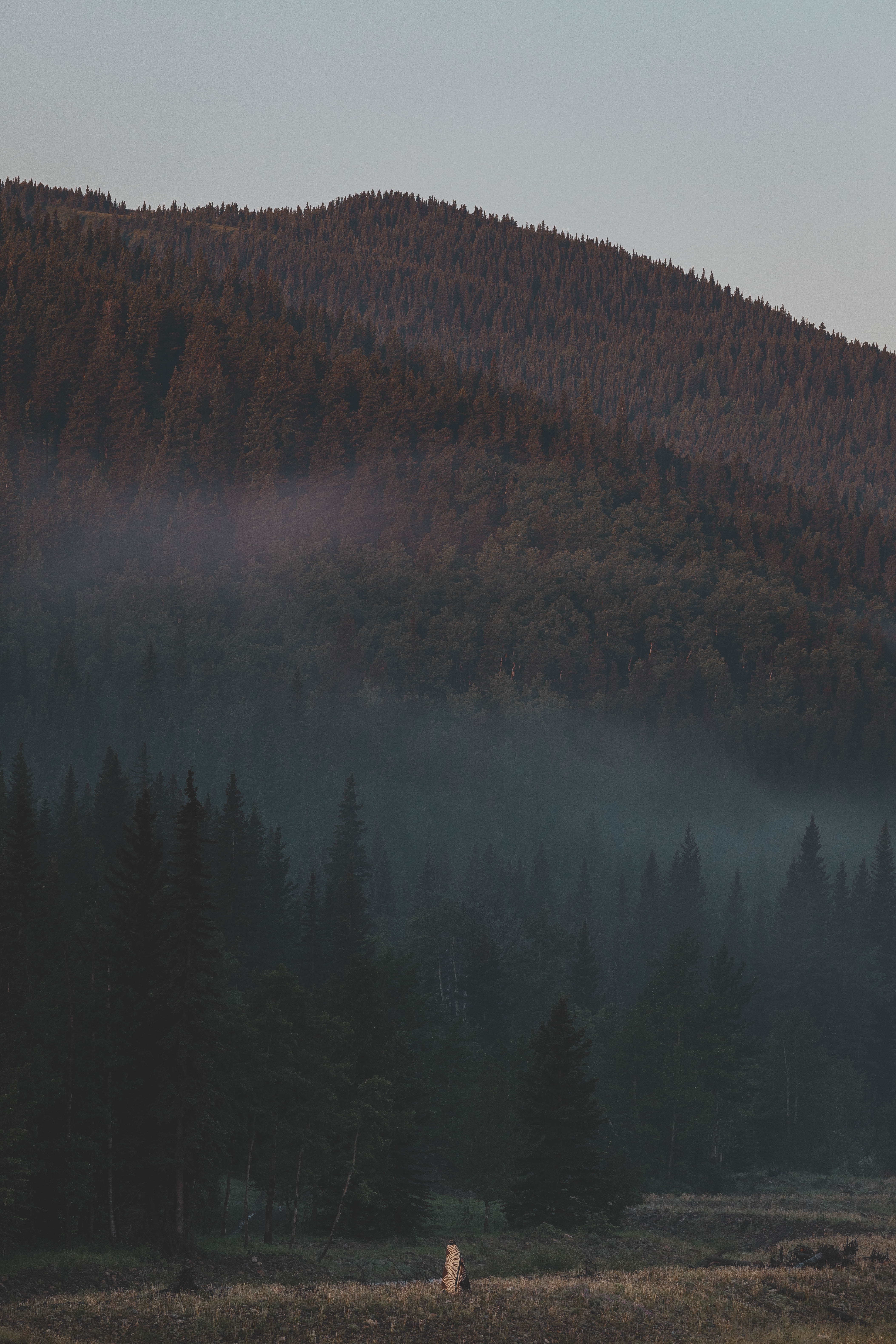 Download mobile wallpaper Fog, Slope, Forest, Nature, Trees, Mountains for free.
