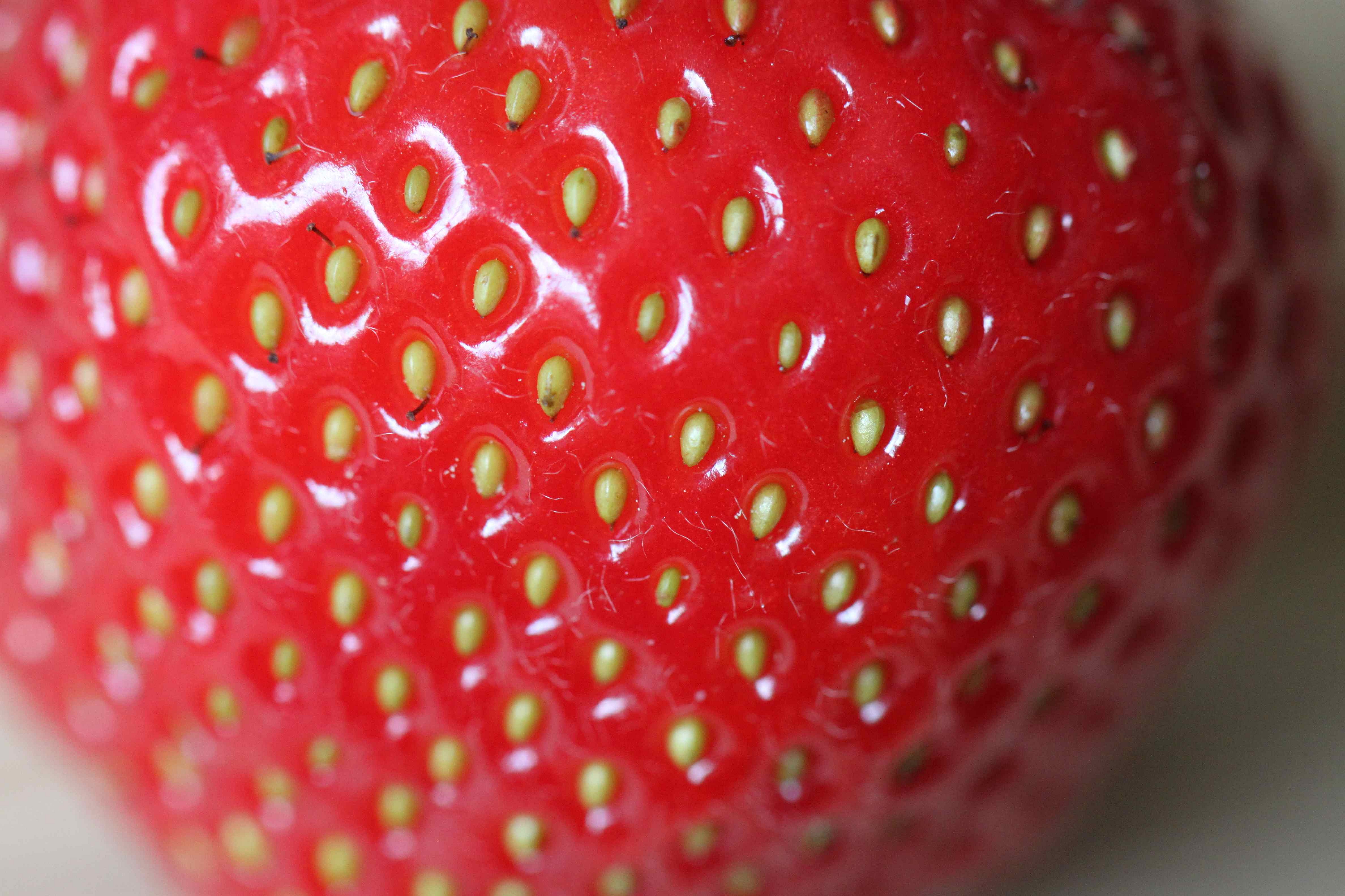 Descarga gratis la imagen Frutas, Fresa, De Cerca, Alimento en el escritorio de tu PC