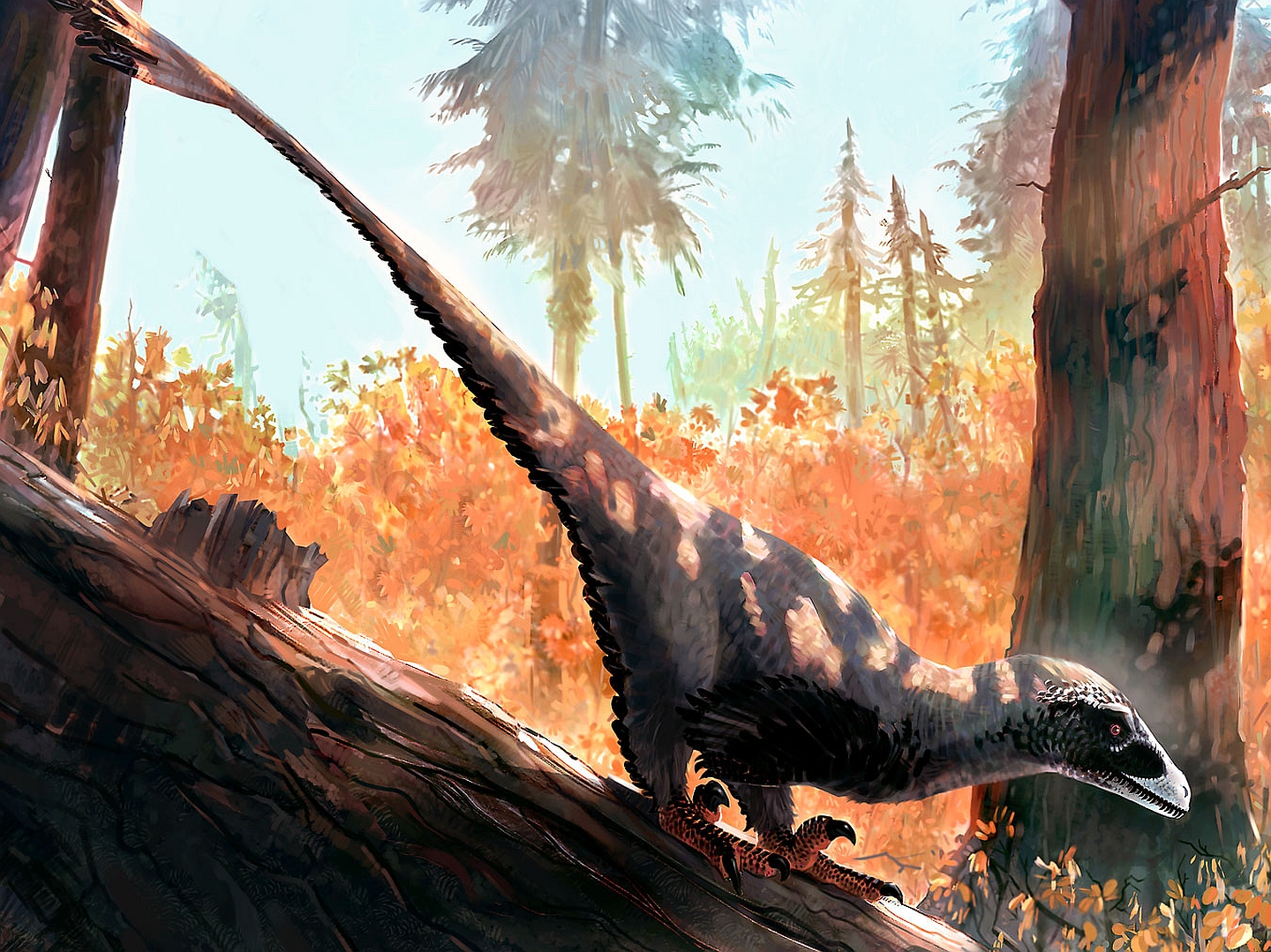 Baixar papel de parede para celular de Dinossauro, Dinossauros, Animais gratuito.