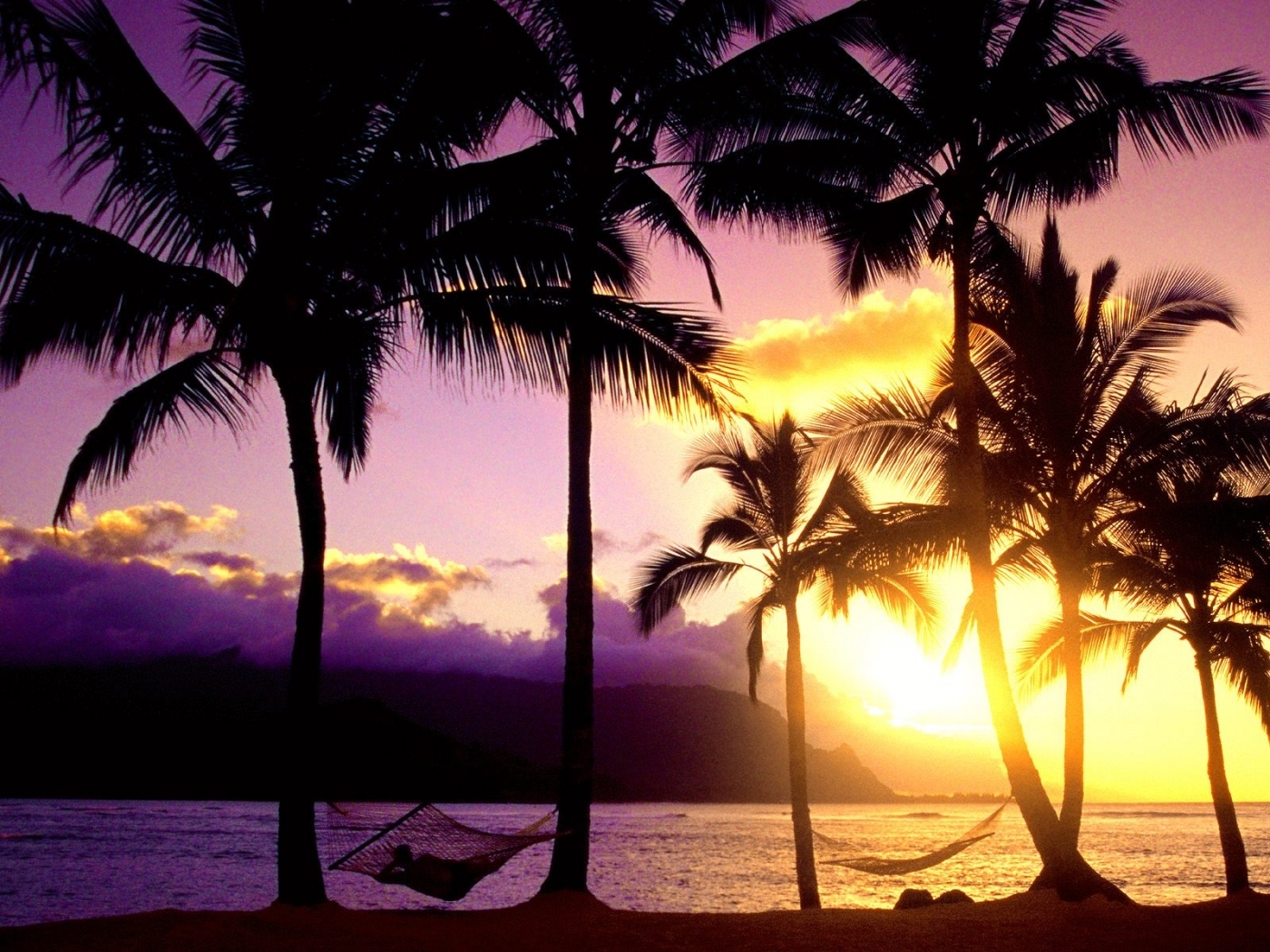Download mobile wallpaper Landscape, Sunset, Palms, Beach for free.