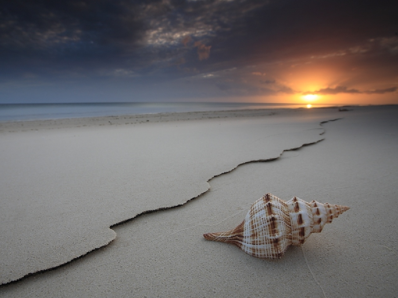 shells, landscape, beach, gray Full HD