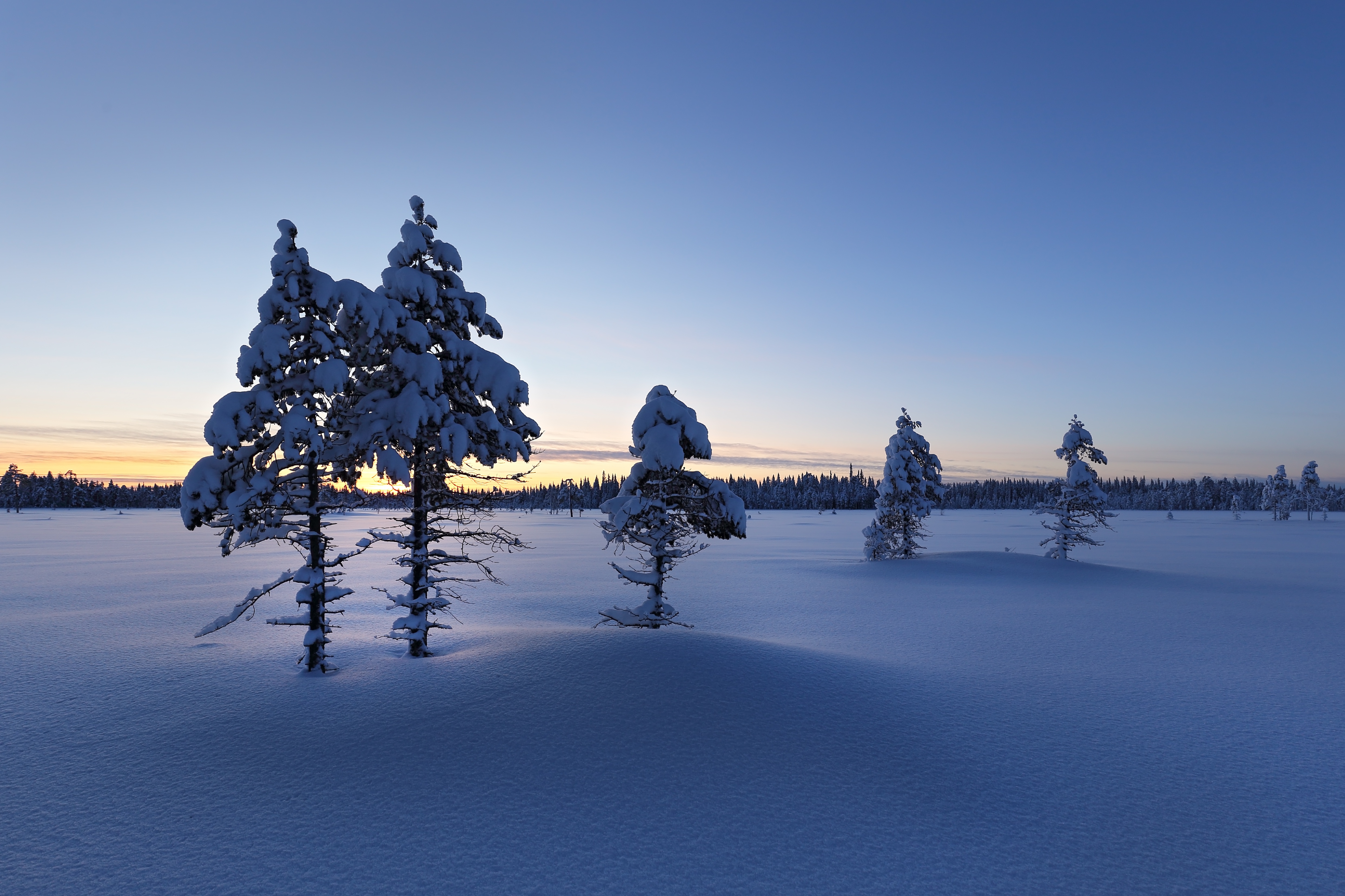 Скачать картинку Зима, Природа, Снег, Дерево, Восход Солнца, Земля/природа в телефон бесплатно.