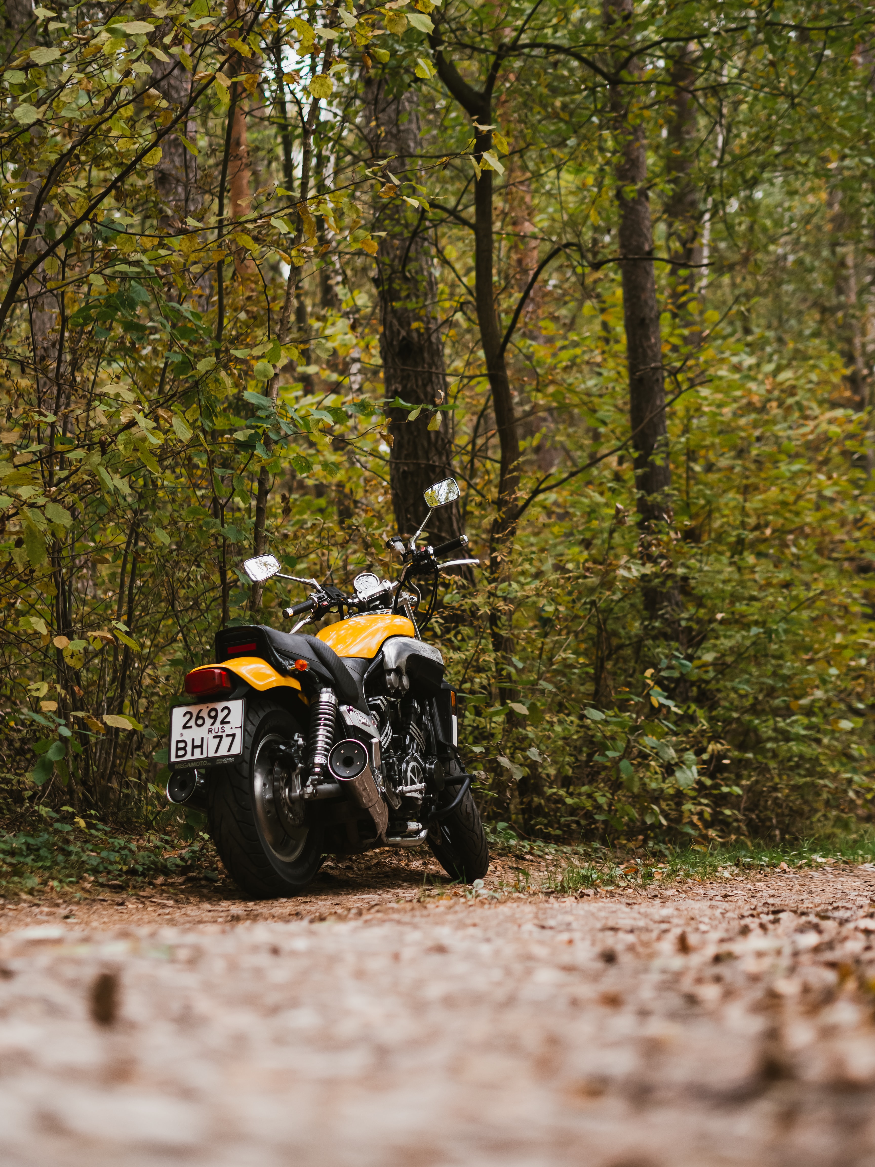 rear view, motorcycles, yamaha, forest, back view, motorcycle, bike, motor