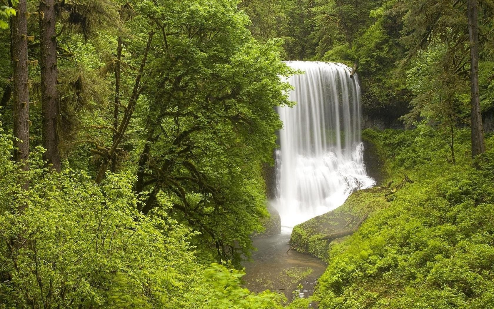 Free download wallpaper Nature, Water, Waterfall, Forest, Vegetation, Earth on your PC desktop
