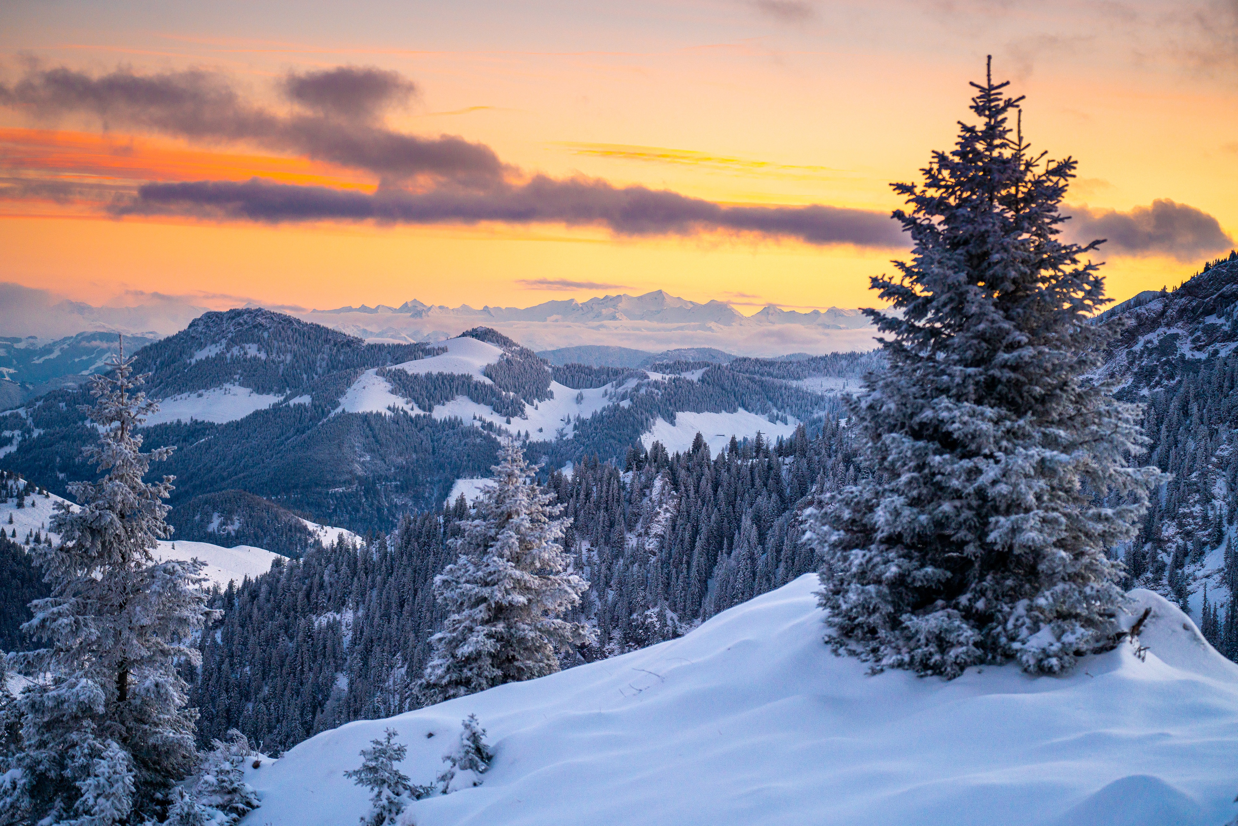 Download mobile wallpaper Landscape, Winter, Sunset, Snow, Mountain, Forest, Earth, Germany for free.
