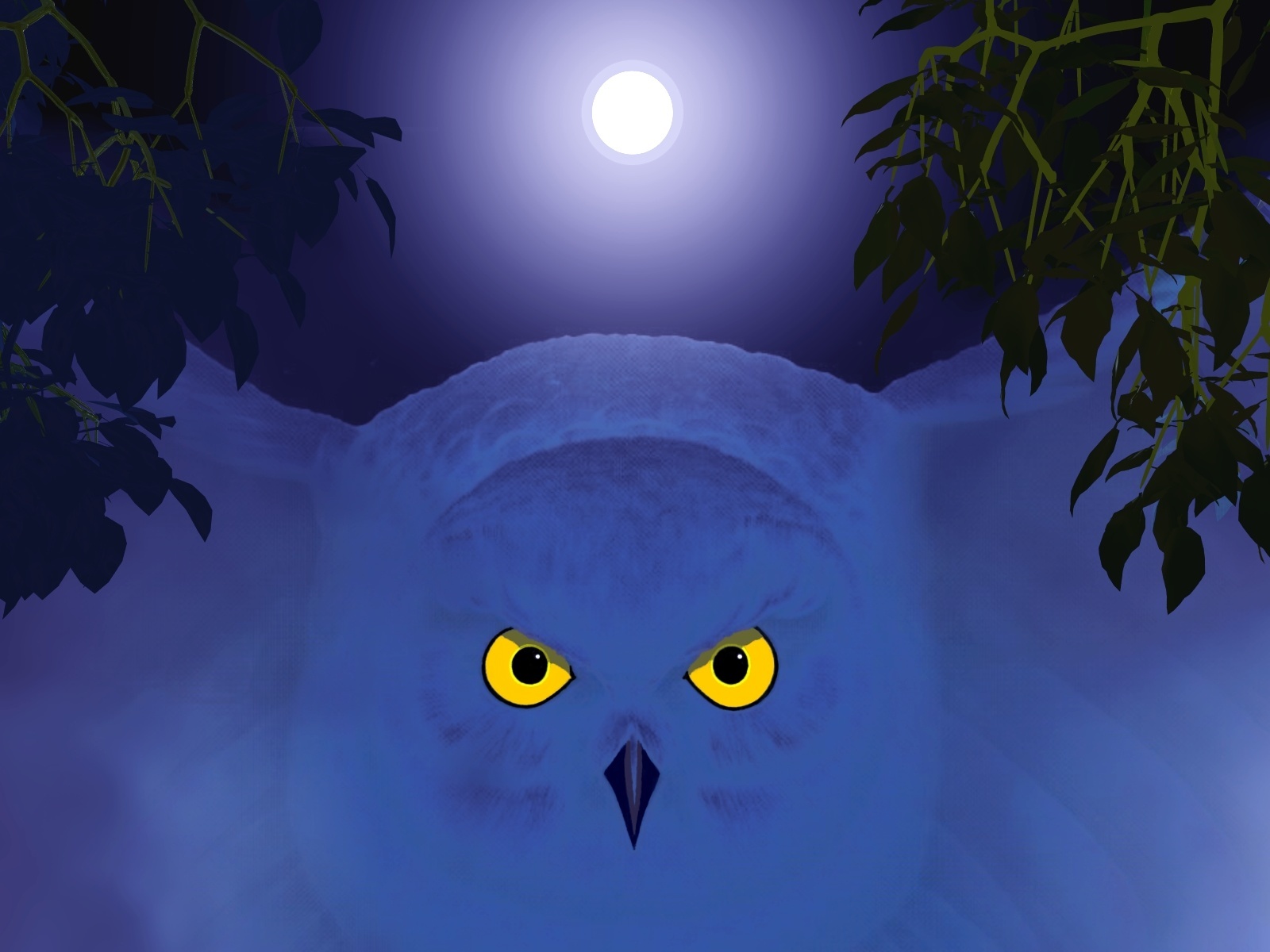 Free download wallpaper Owl, Bird, Animal, Artistic on your PC desktop