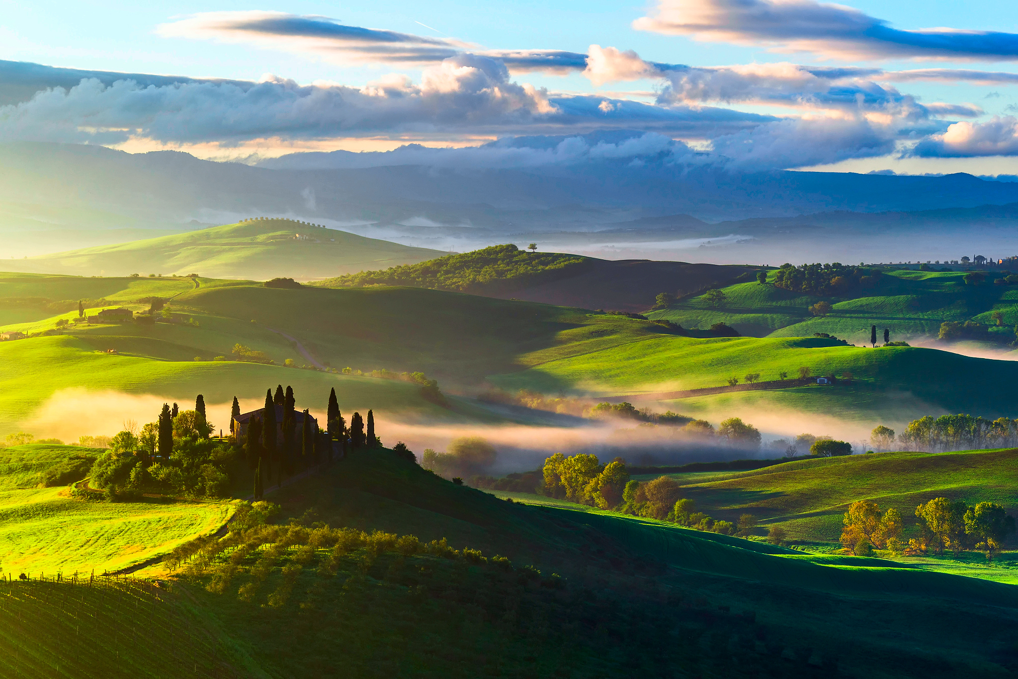 nature, trees, tuscany, fields, italy, view from above, fog