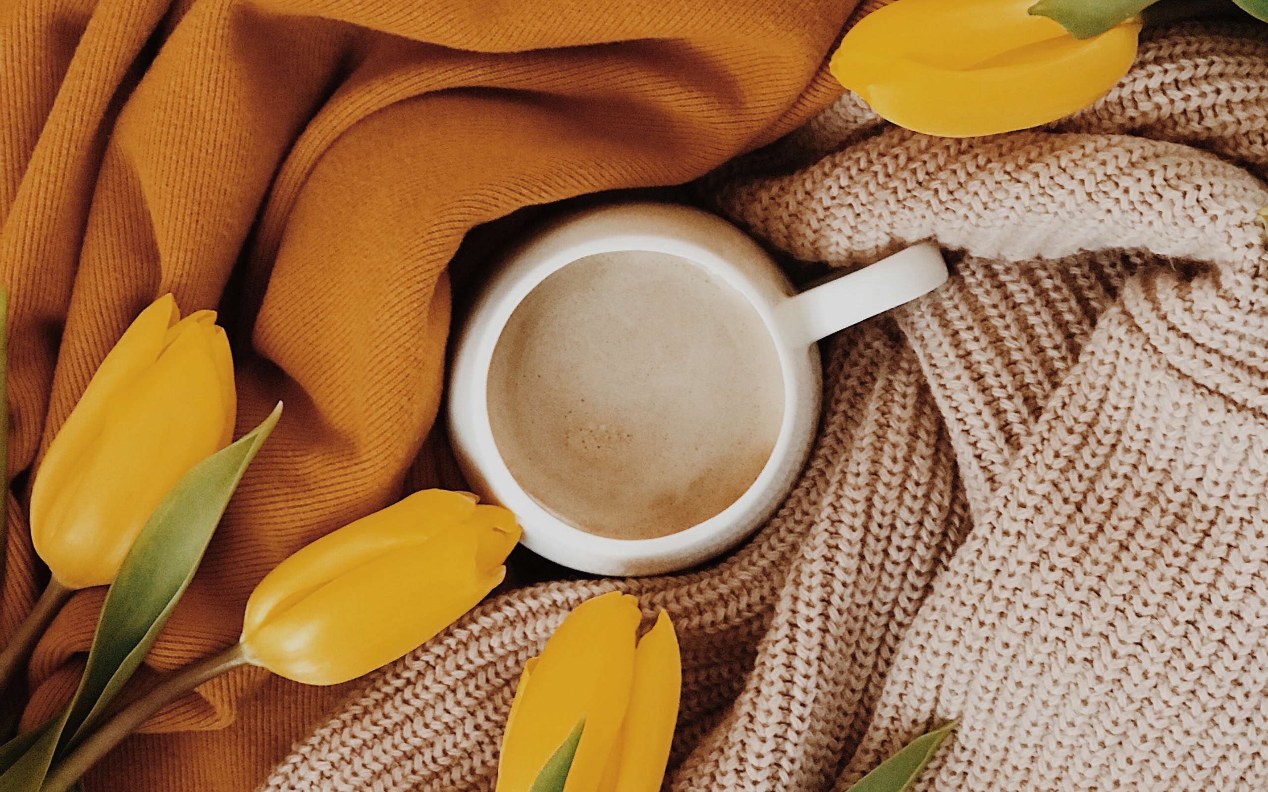 Download mobile wallpaper Food, Coffee, Cup, Drink, Tulip for free.