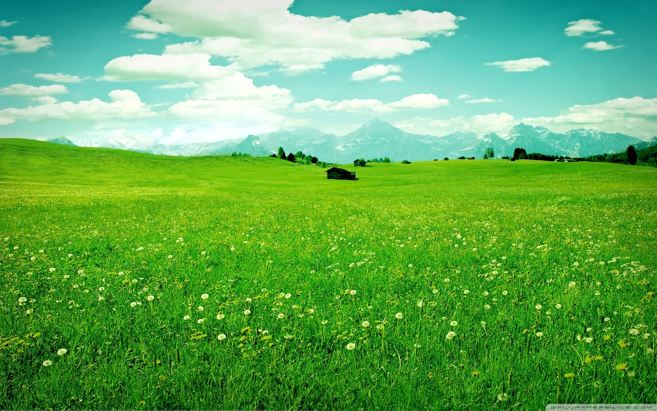 Download mobile wallpaper Earth, Field for free.