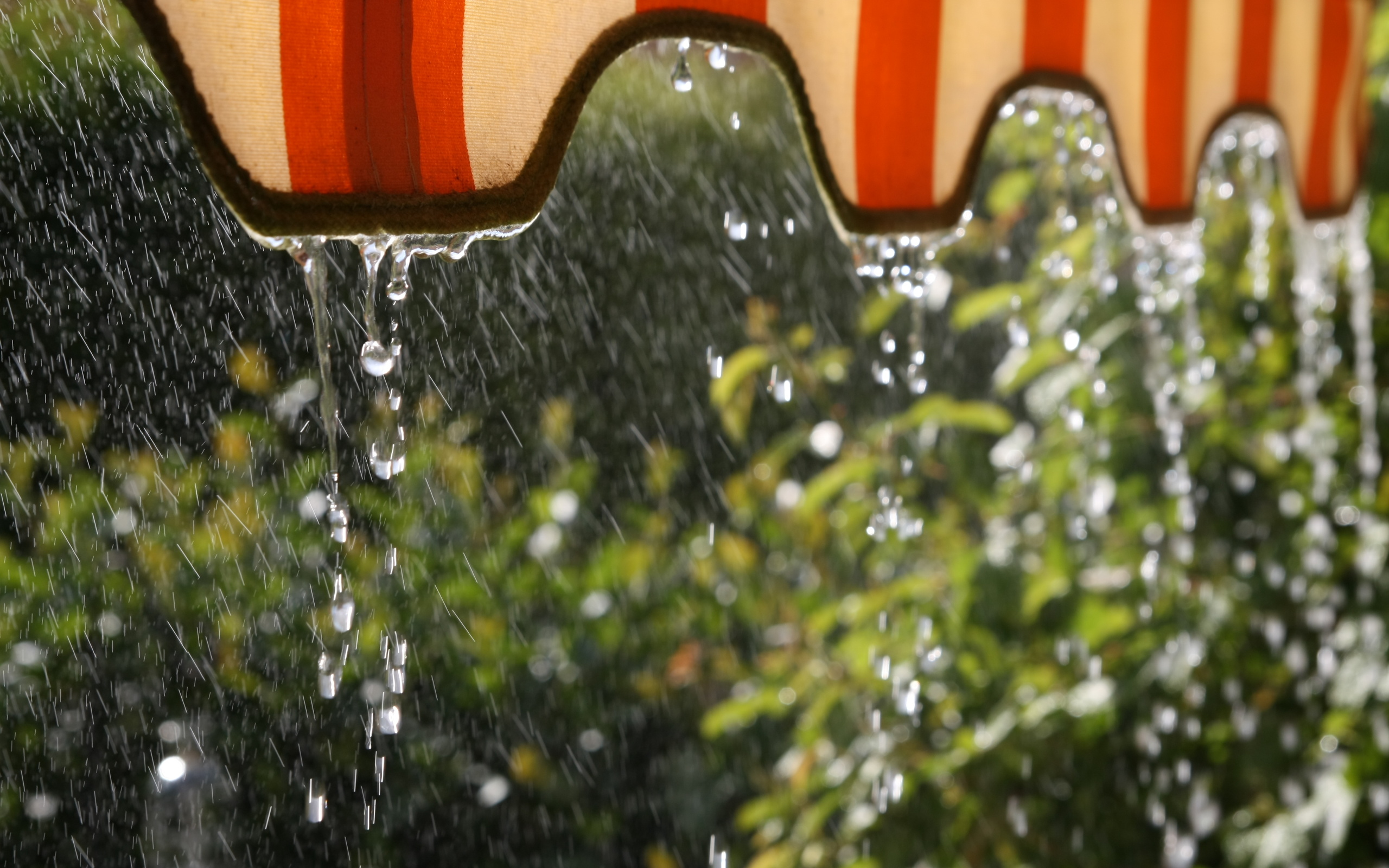 Baixe gratuitamente a imagem Chuva, Fotografia na área de trabalho do seu PC