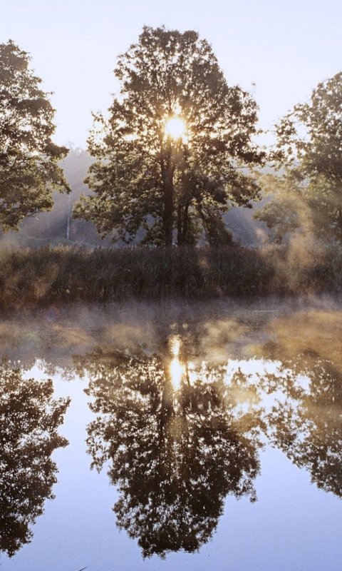 Descarga gratuita de fondo de pantalla para móvil de Naturaleza, Agua, Amanecer, Reflexión, Árbol, Niebla, Valla, Cerca, Rayo De Sol, Tierra/naturaleza, Reflejo, Frijol De Sol.